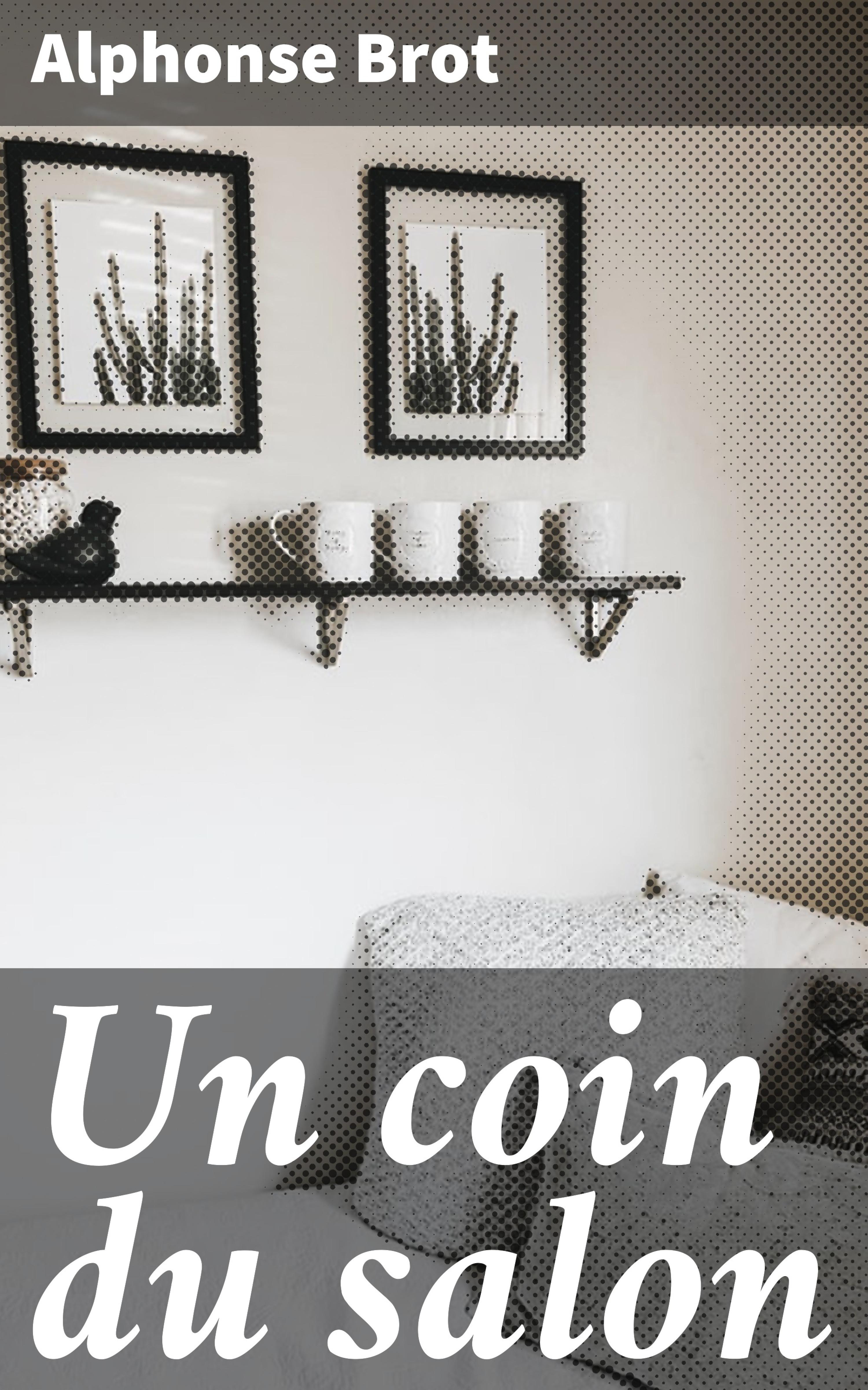 Обложка книги «Un coin du salon»