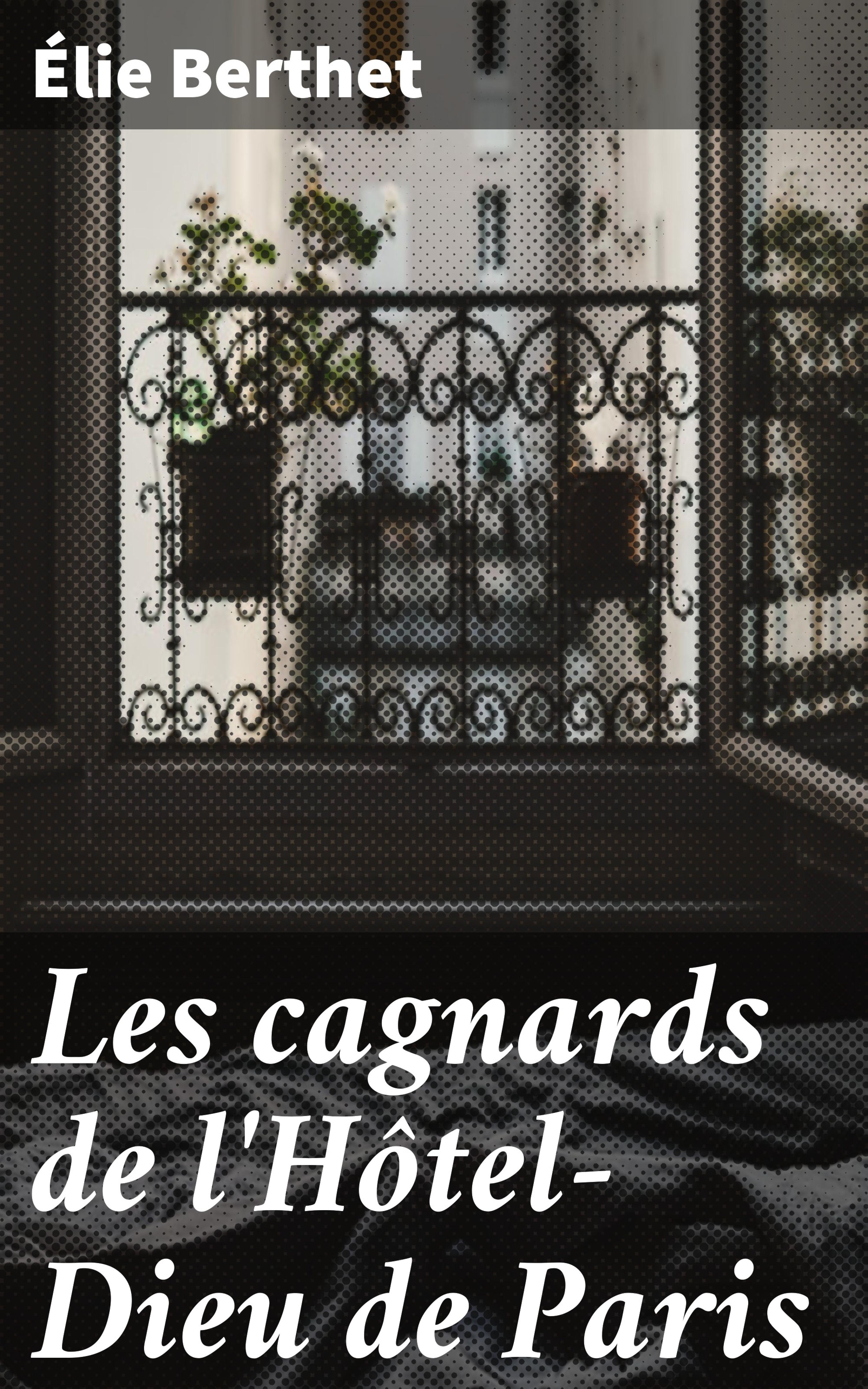 Обложка книги «Les cagnards de l'Hôtel-Dieu de Paris»