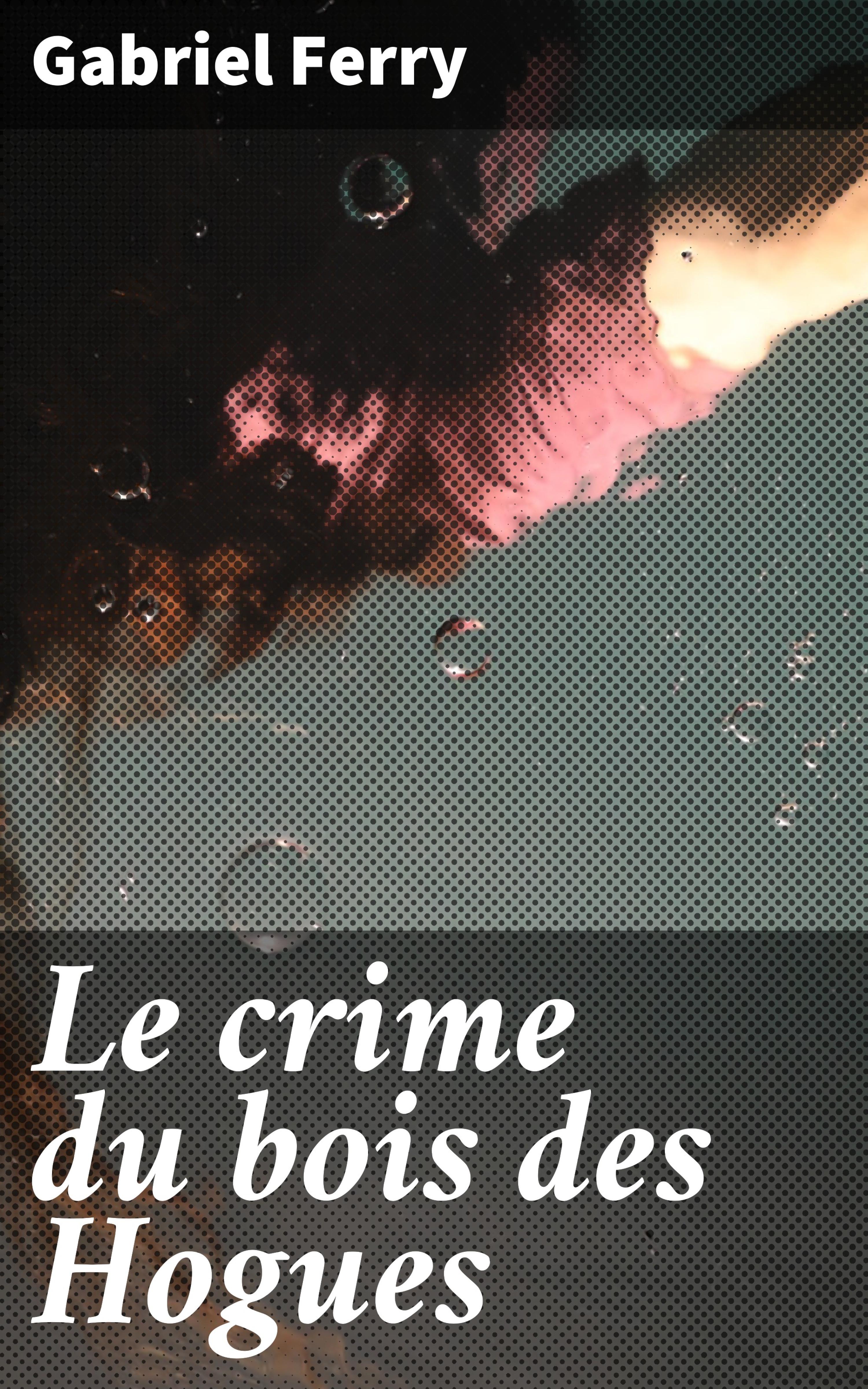 Обложка книги «Le crime du bois des Hogues»