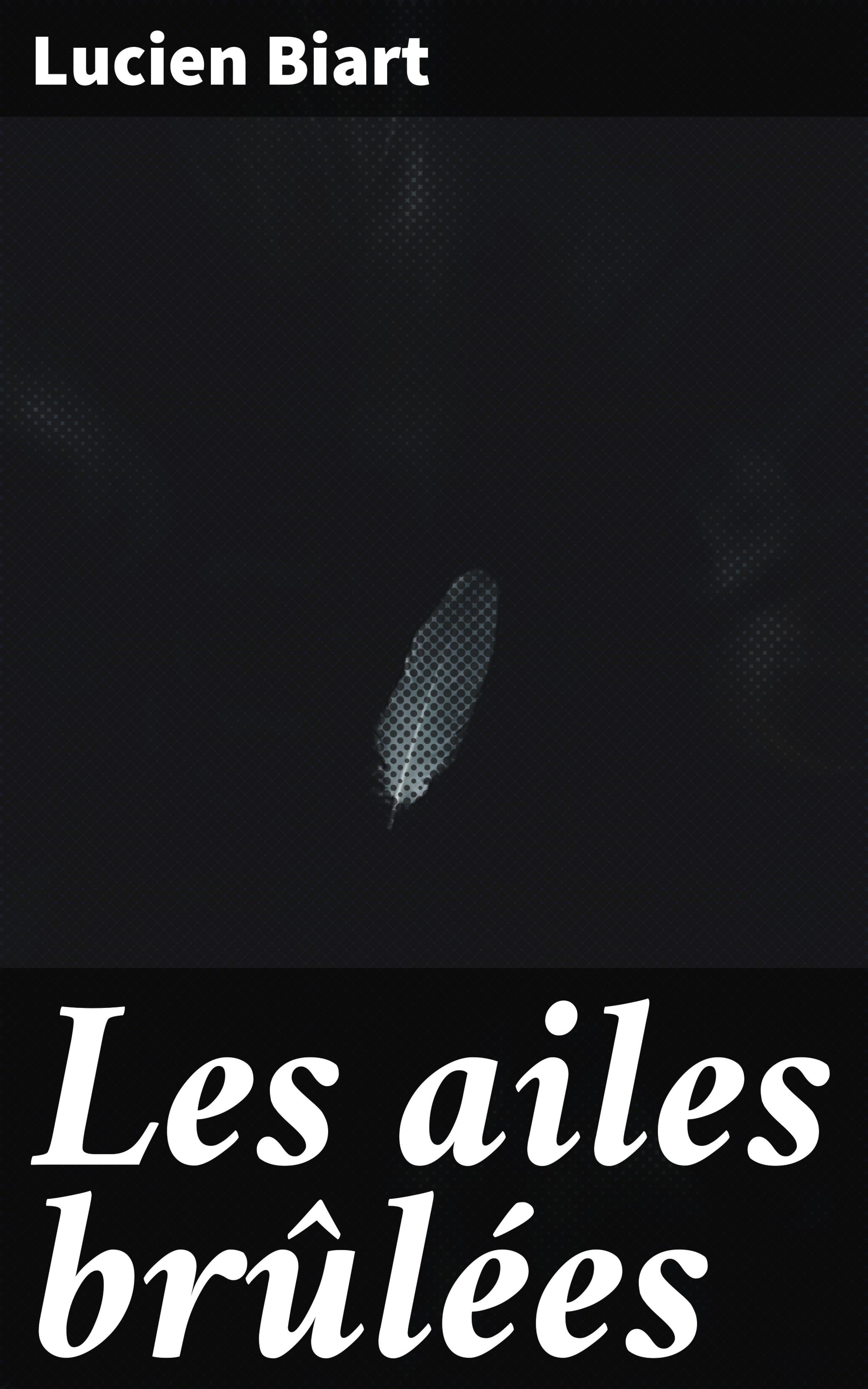 Обложка книги «Les ailes brûlées»
