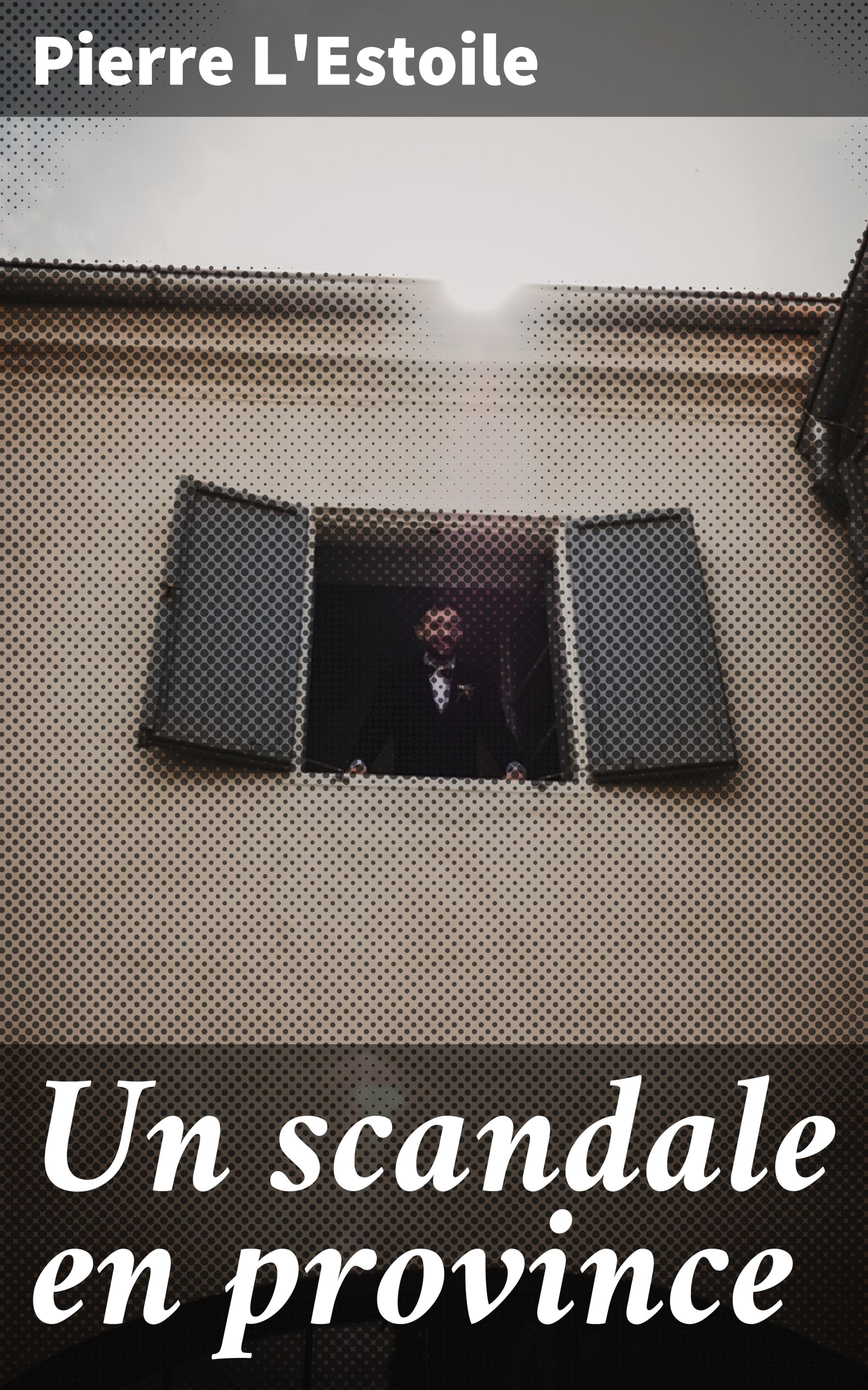 Обложка книги «Un scandale en province»