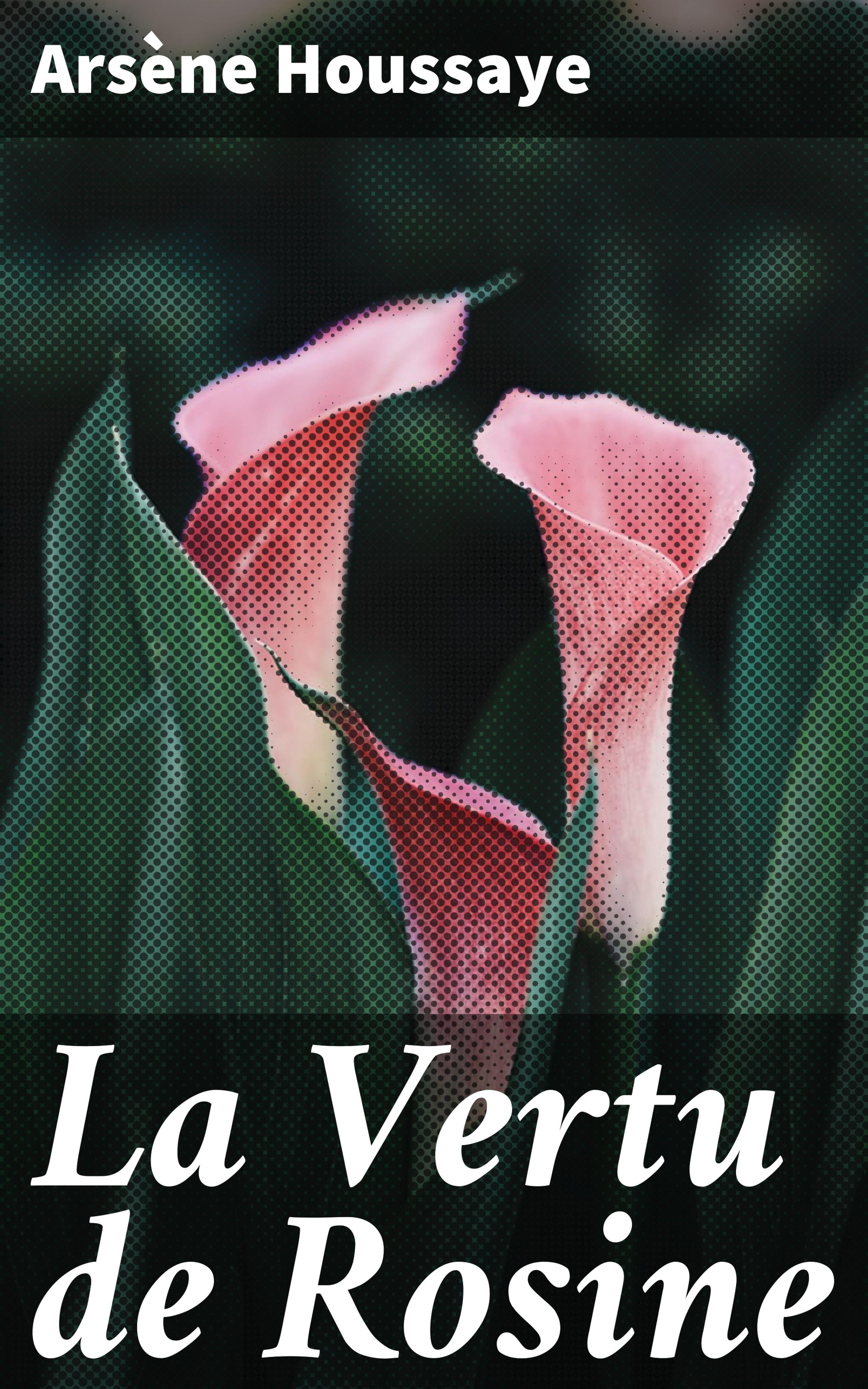 Обложка книги «La Vertu de Rosine»