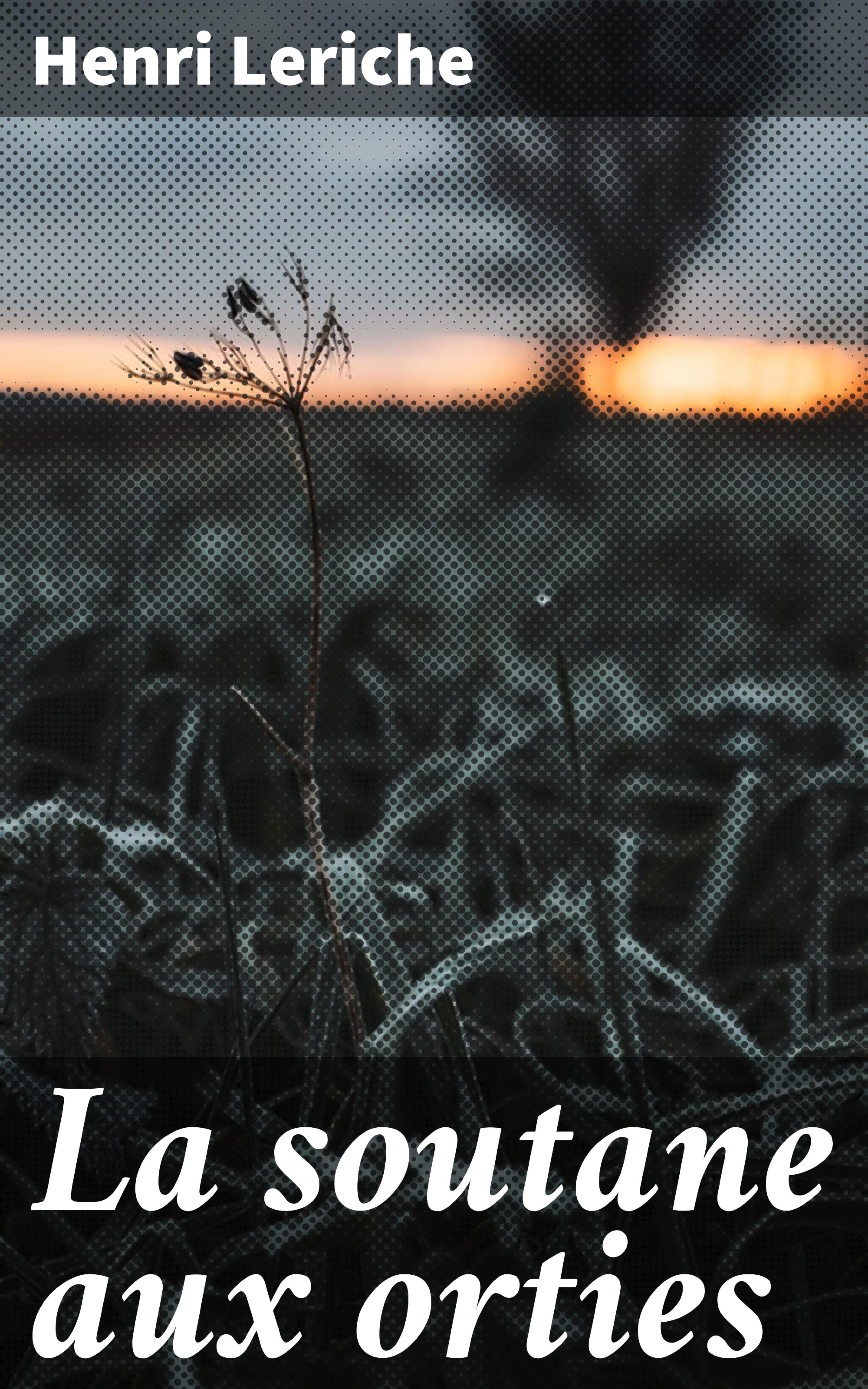 Обложка книги «La soutane aux orties»