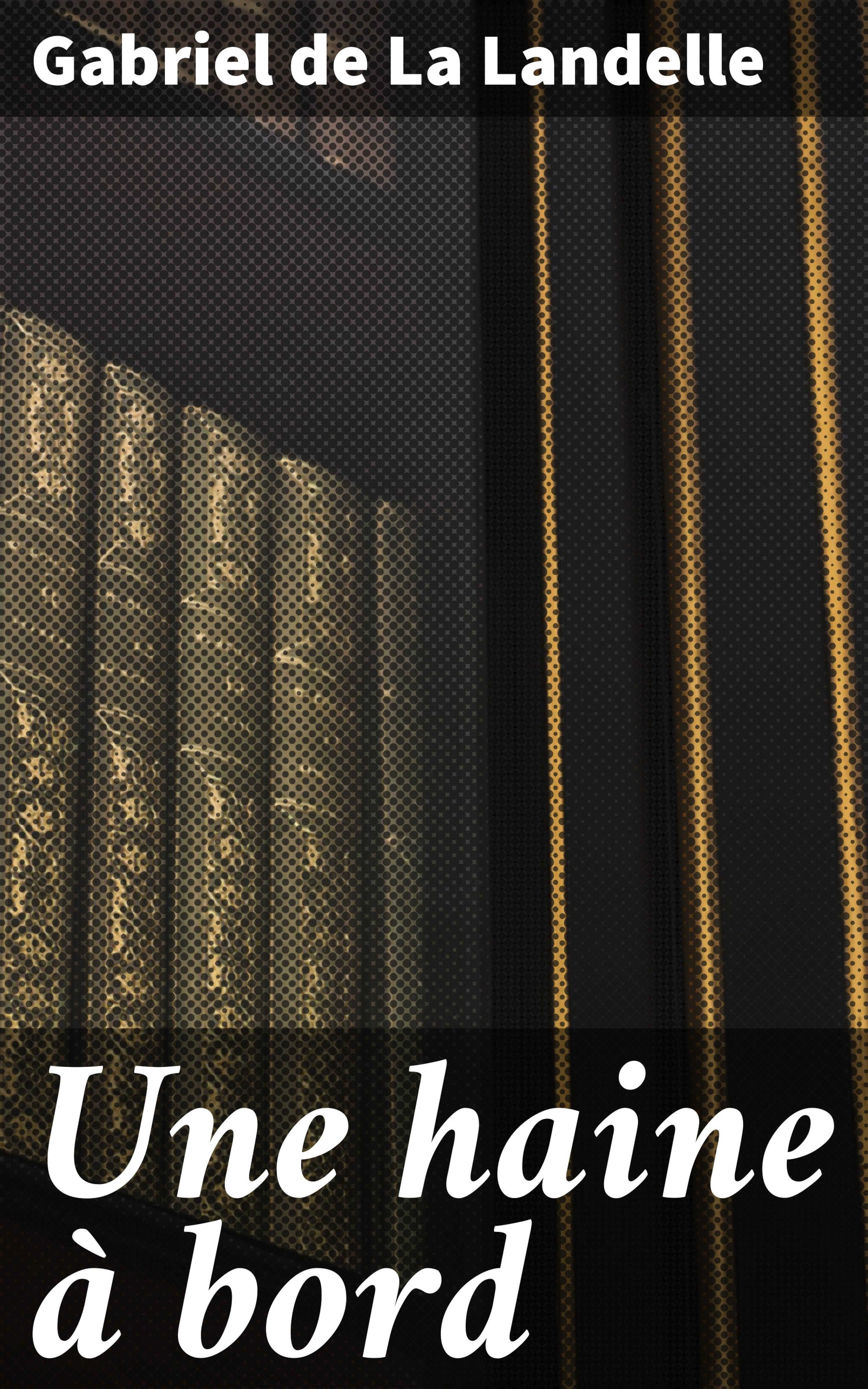 Обложка книги «Une haine à bord»