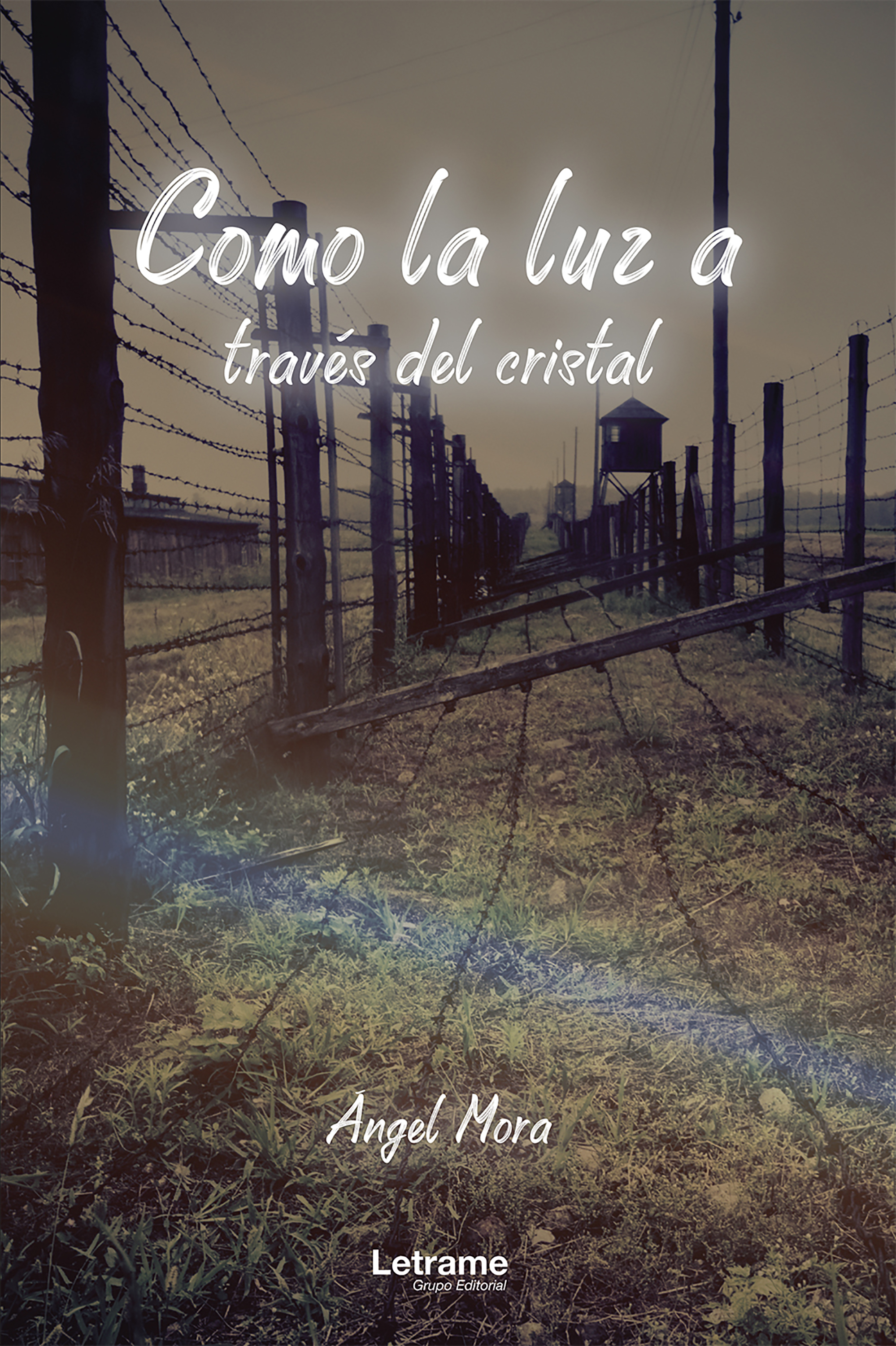 Обложка книги «Como la luz a través del cristal»