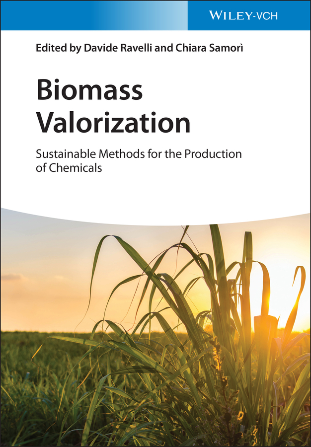 Обложка книги «Biomass Valorization»