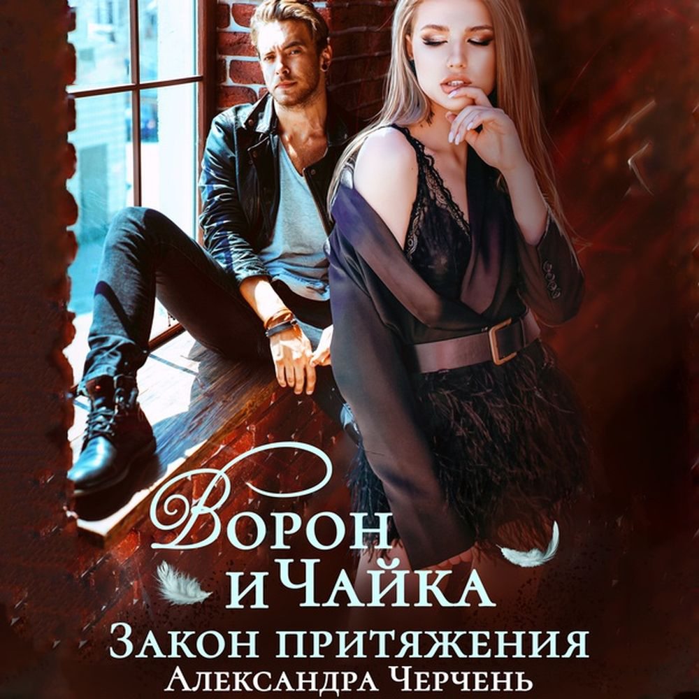 Обложка книги «Ворон и чайка. Закон притяжения»