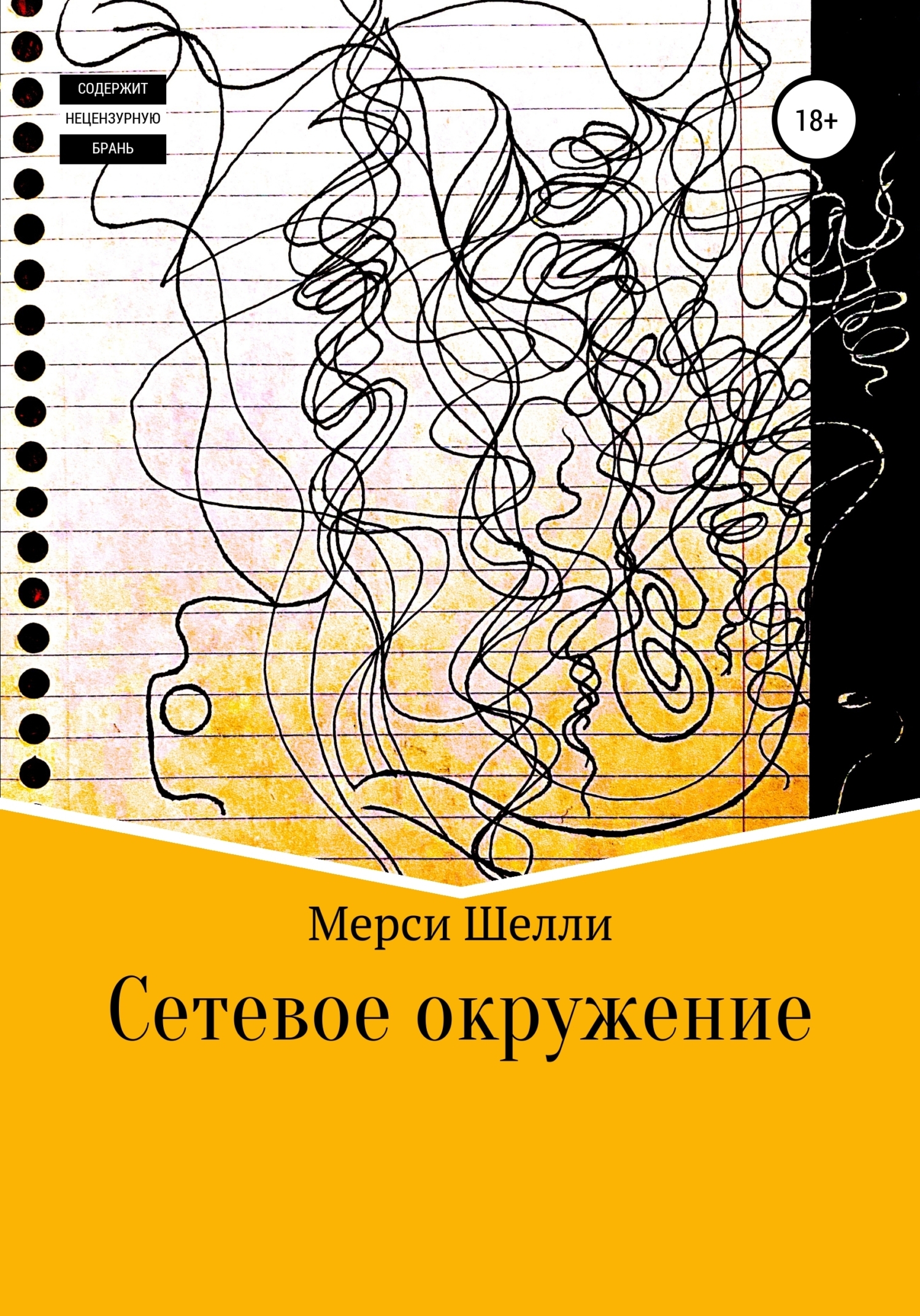 Обложка книги «Сетевое окружение»
