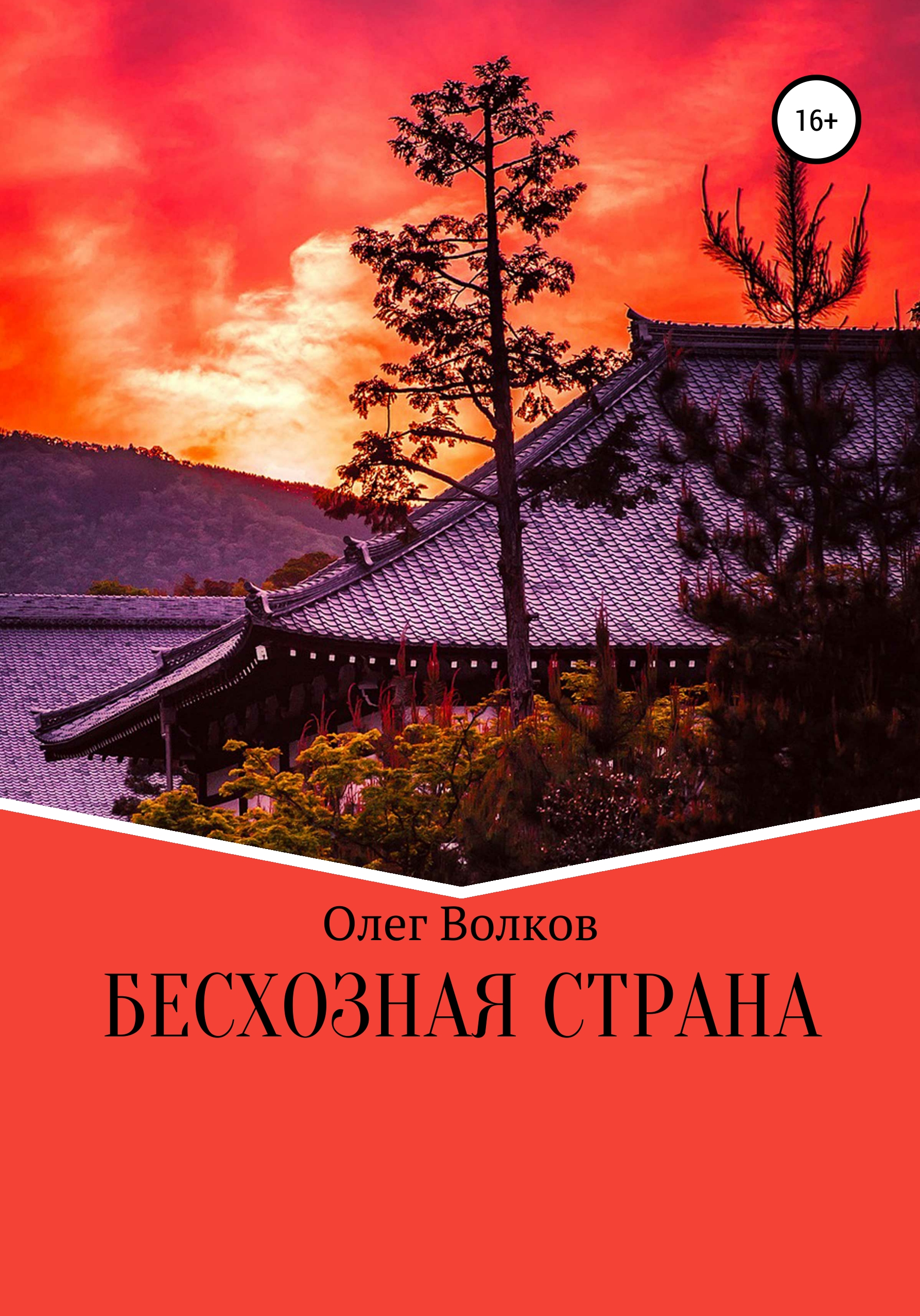 Обложка книги «Бесхозная страна»