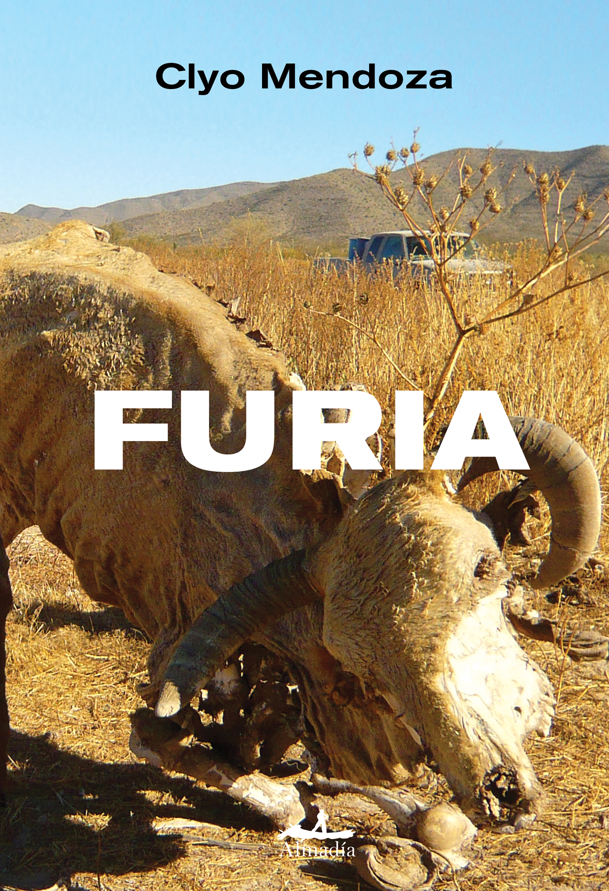 Обложка книги «Furia»