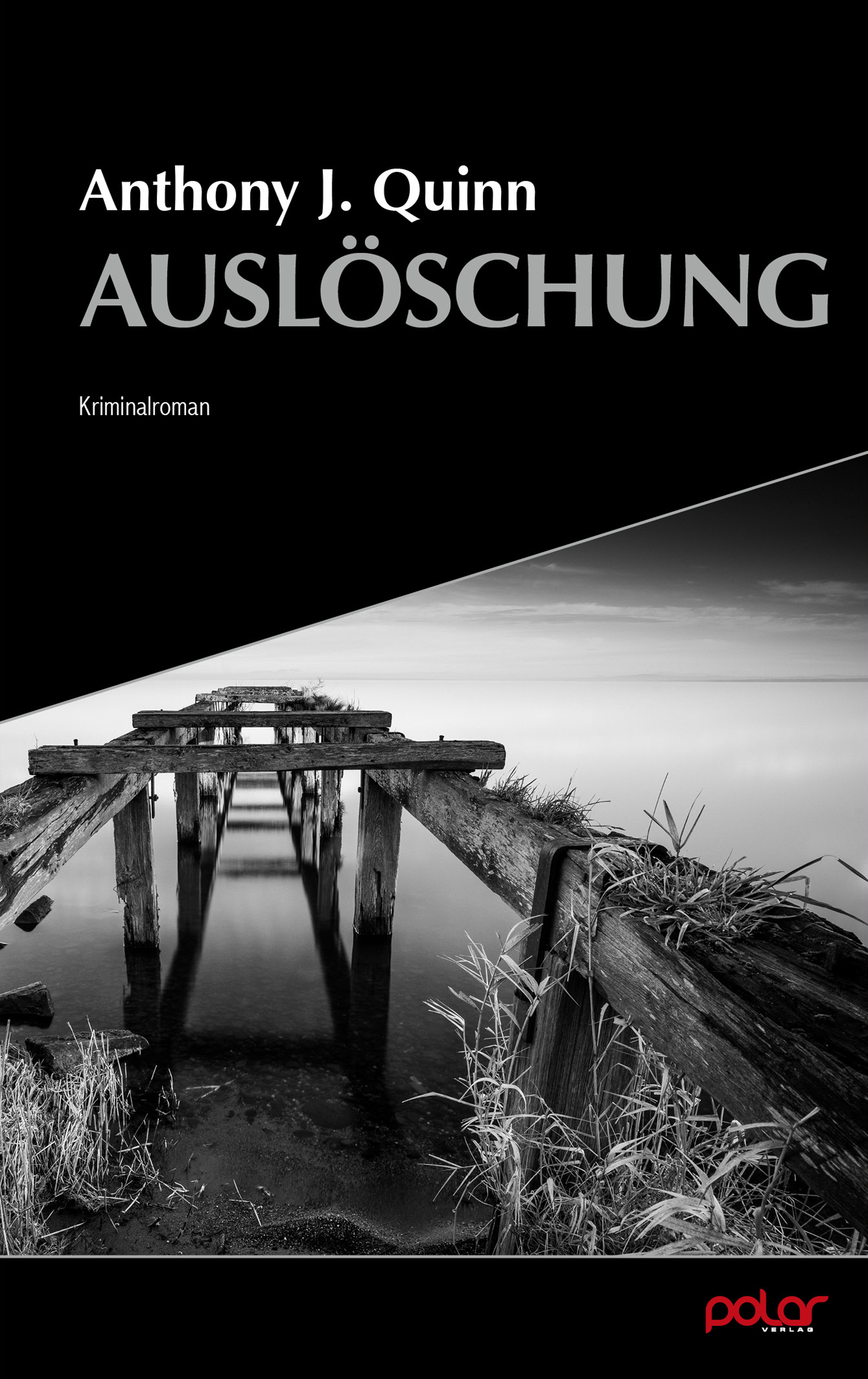 Обложка книги «Auslöschung»