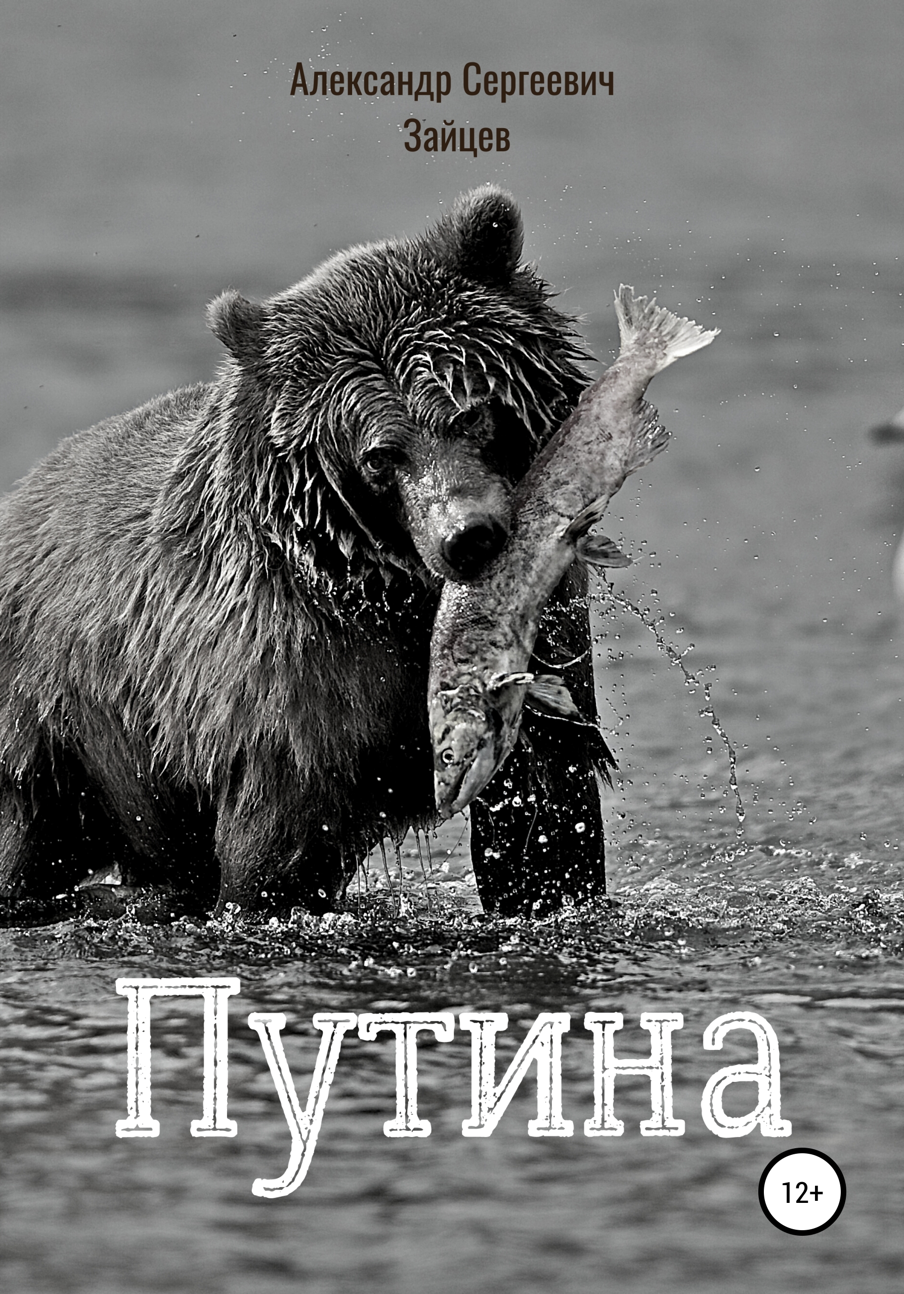 Обложка книги «Путина»