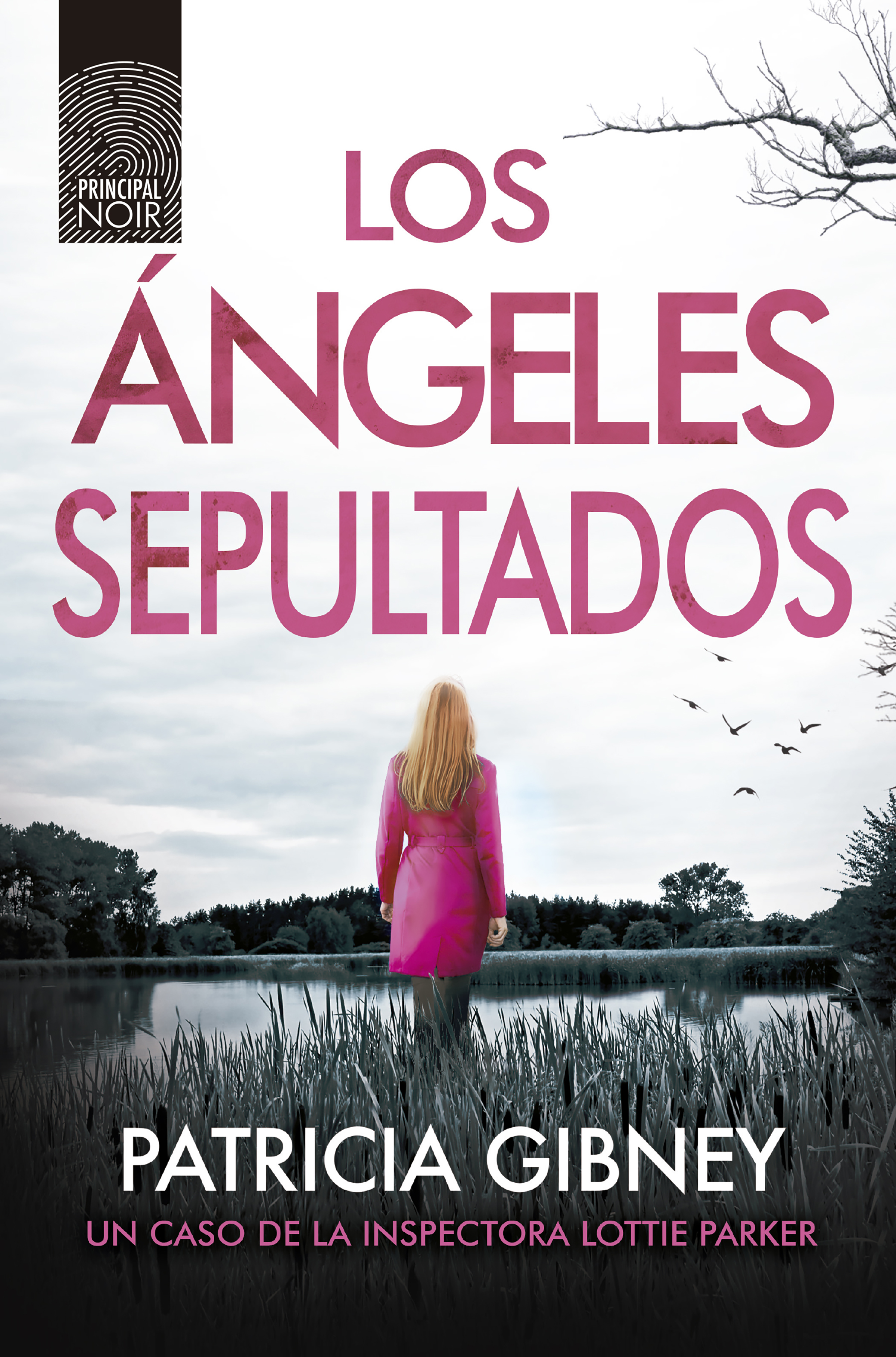 Обложка книги «Los ángeles sepultados»