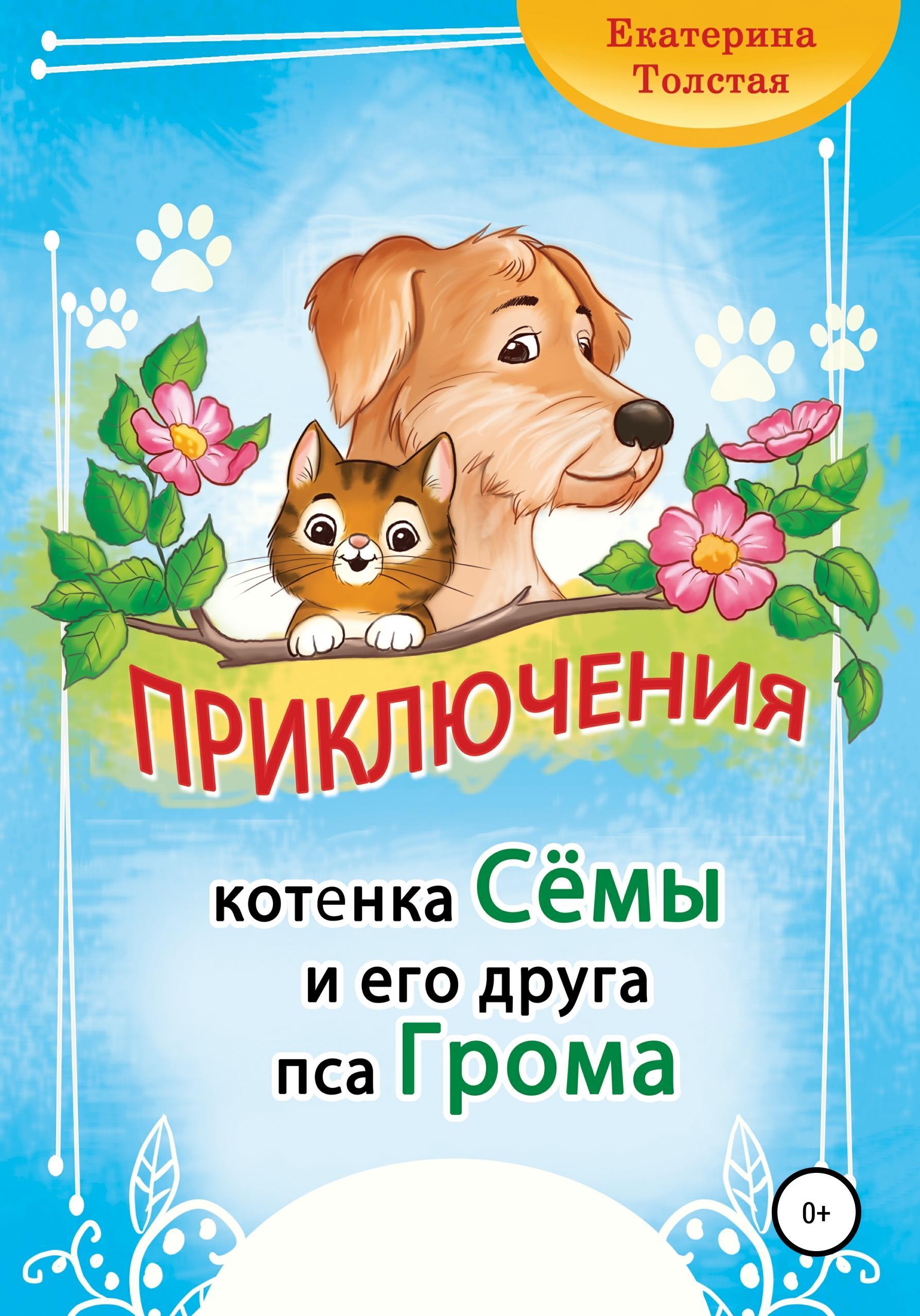 Обложка книги «Приключения котёнка Сёмы и его друга пса Грома»