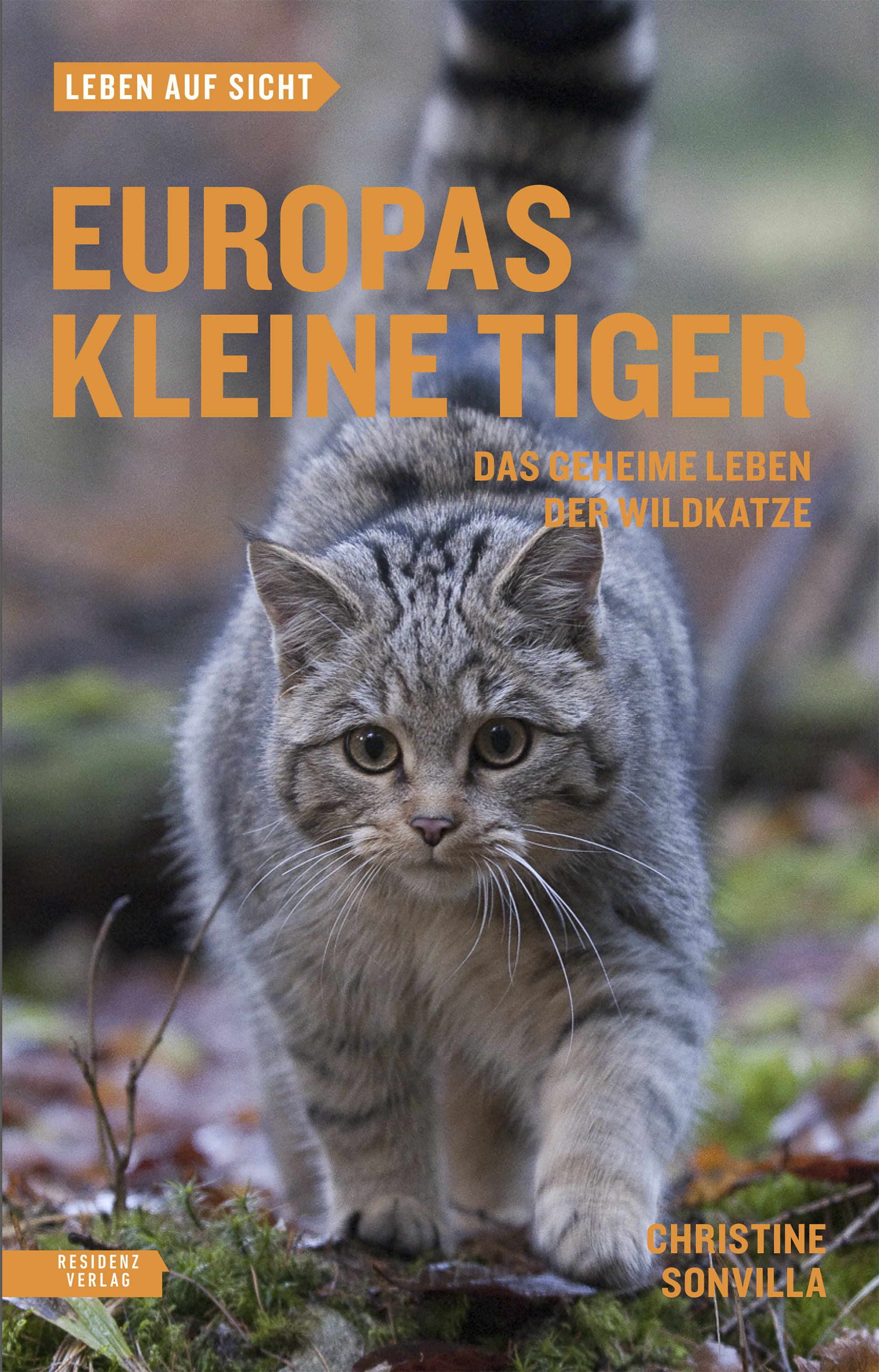 Обложка книги «Europas kleine Tiger»