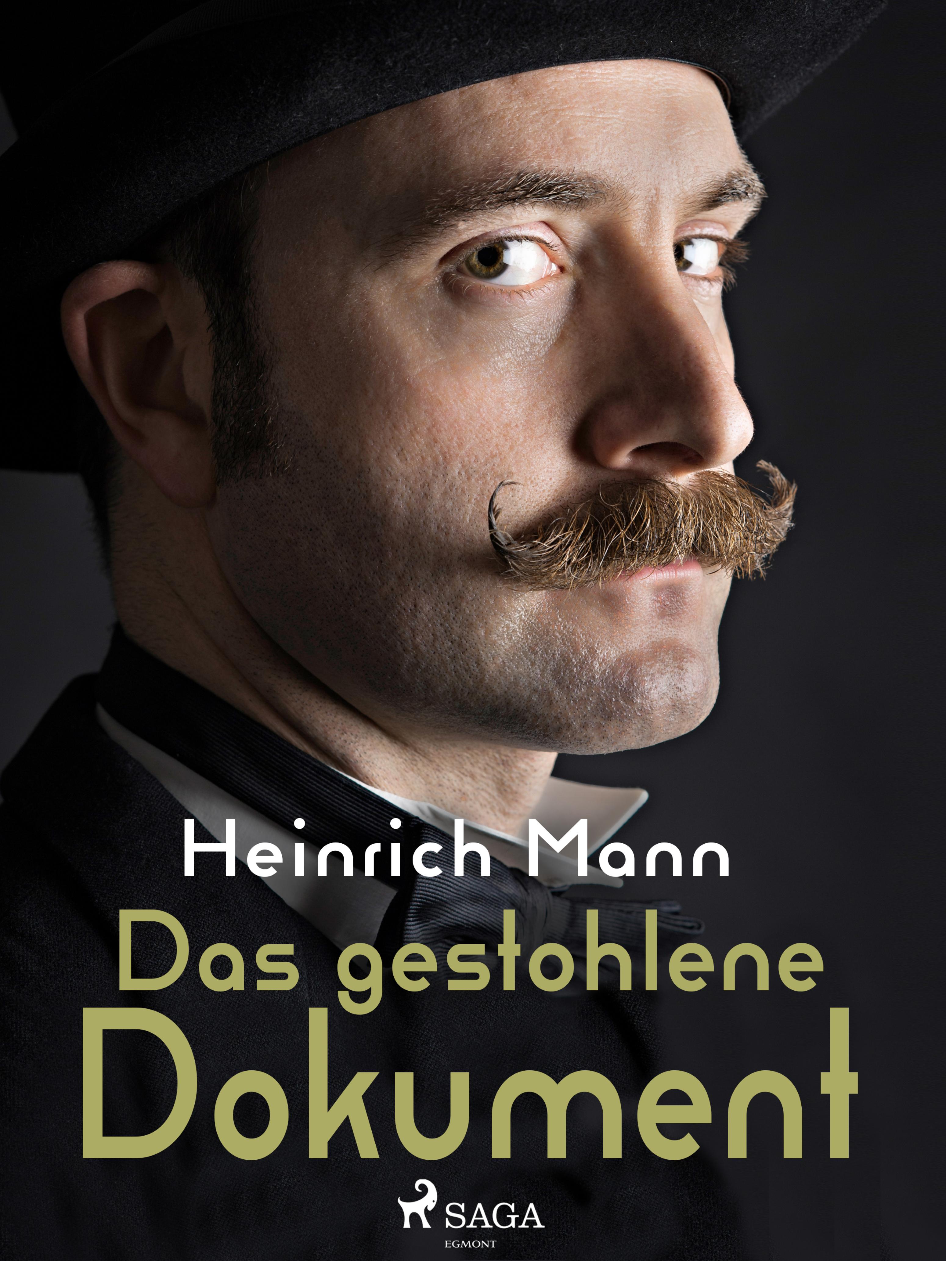 Обложка книги «Das gestohlene Dokument»