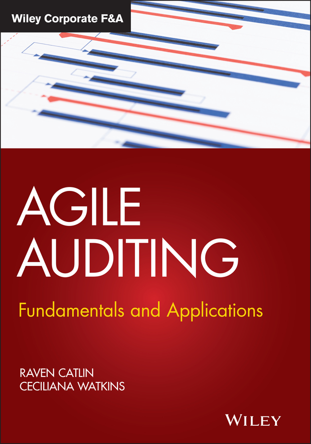 Обложка книги «Agile Auditing»