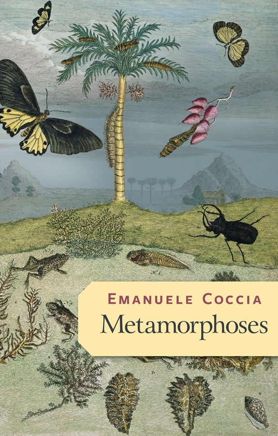 Обложка книги «Metamorphoses»