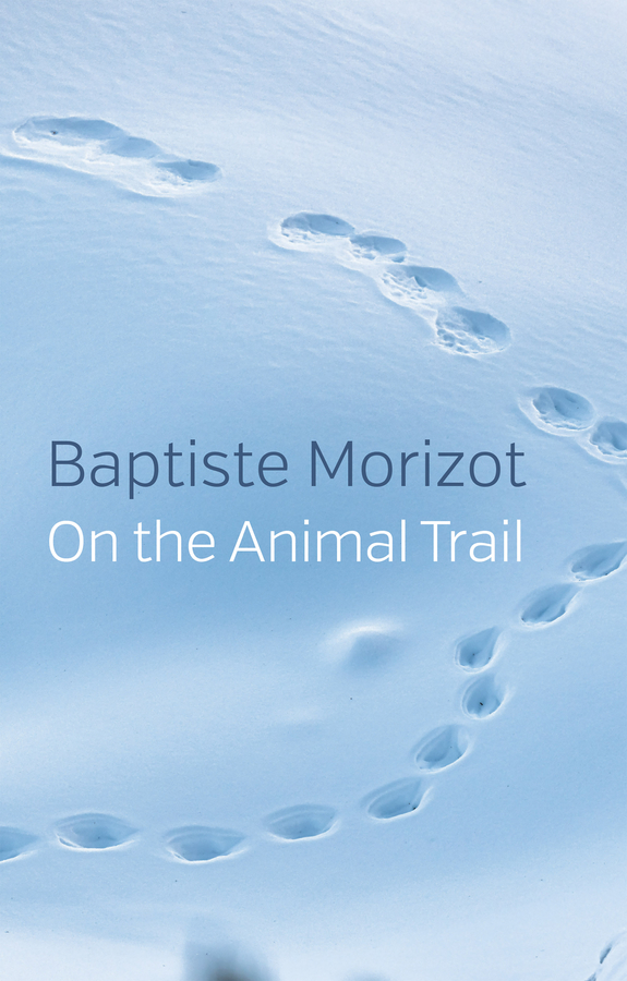Обложка книги «On the Animal Trail»