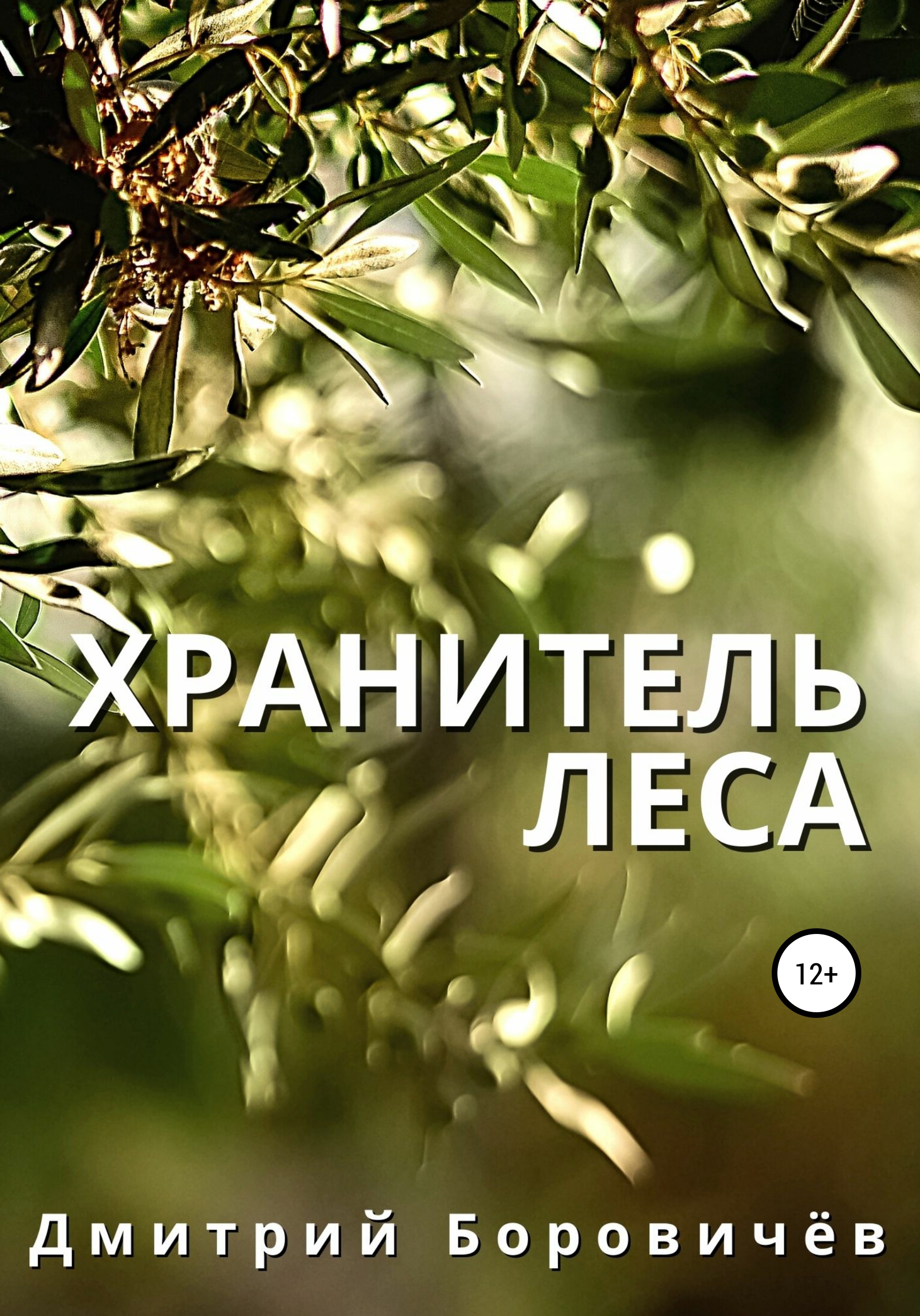 Обложка книги «Хранитель леса»