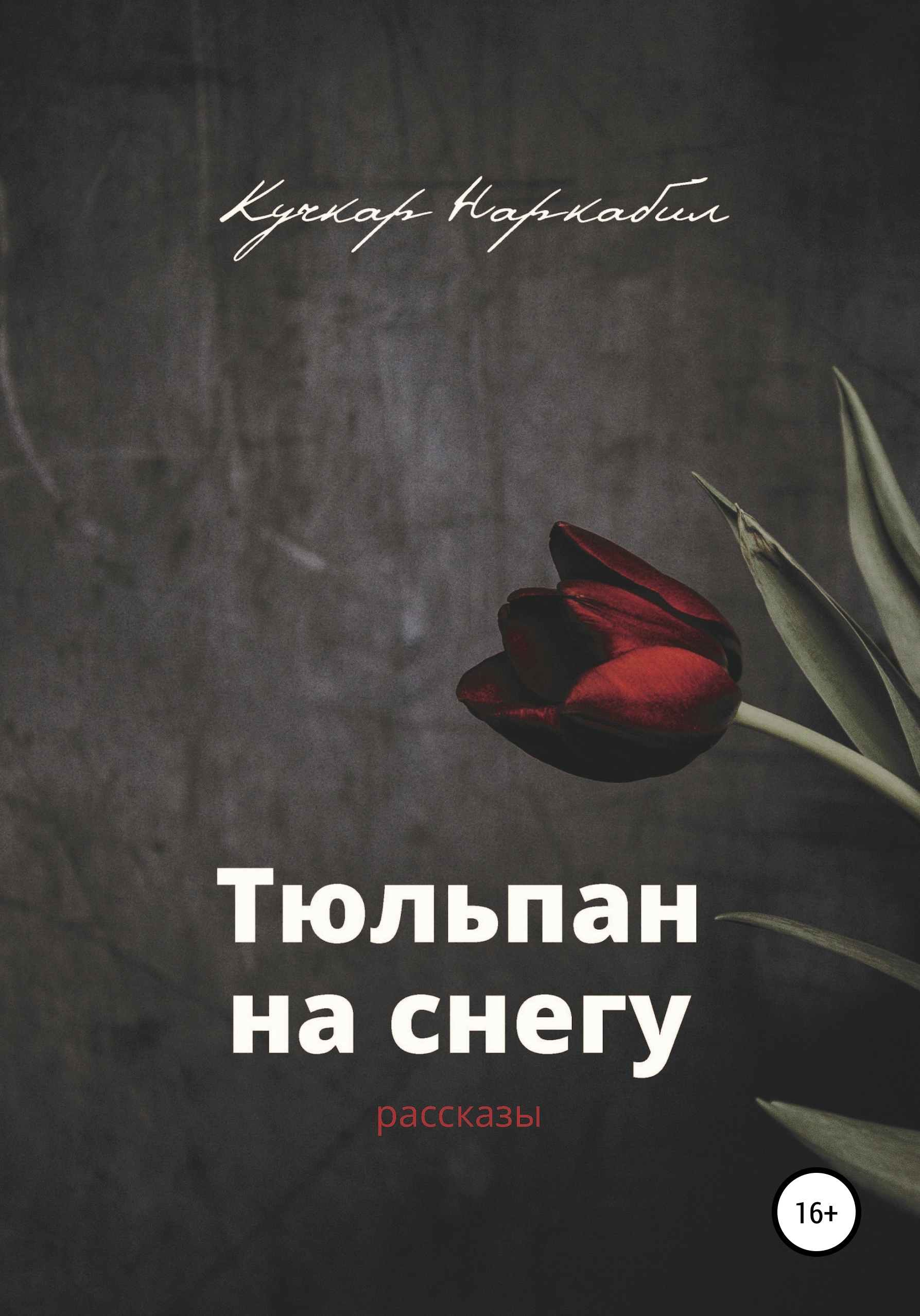 Обложка книги «Тюльпан на снегу»