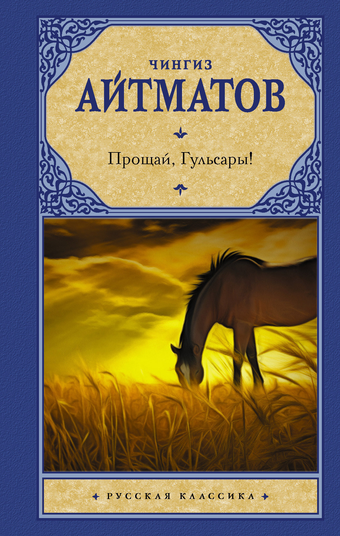 Обложка книги «Прощай, Гульсары!»