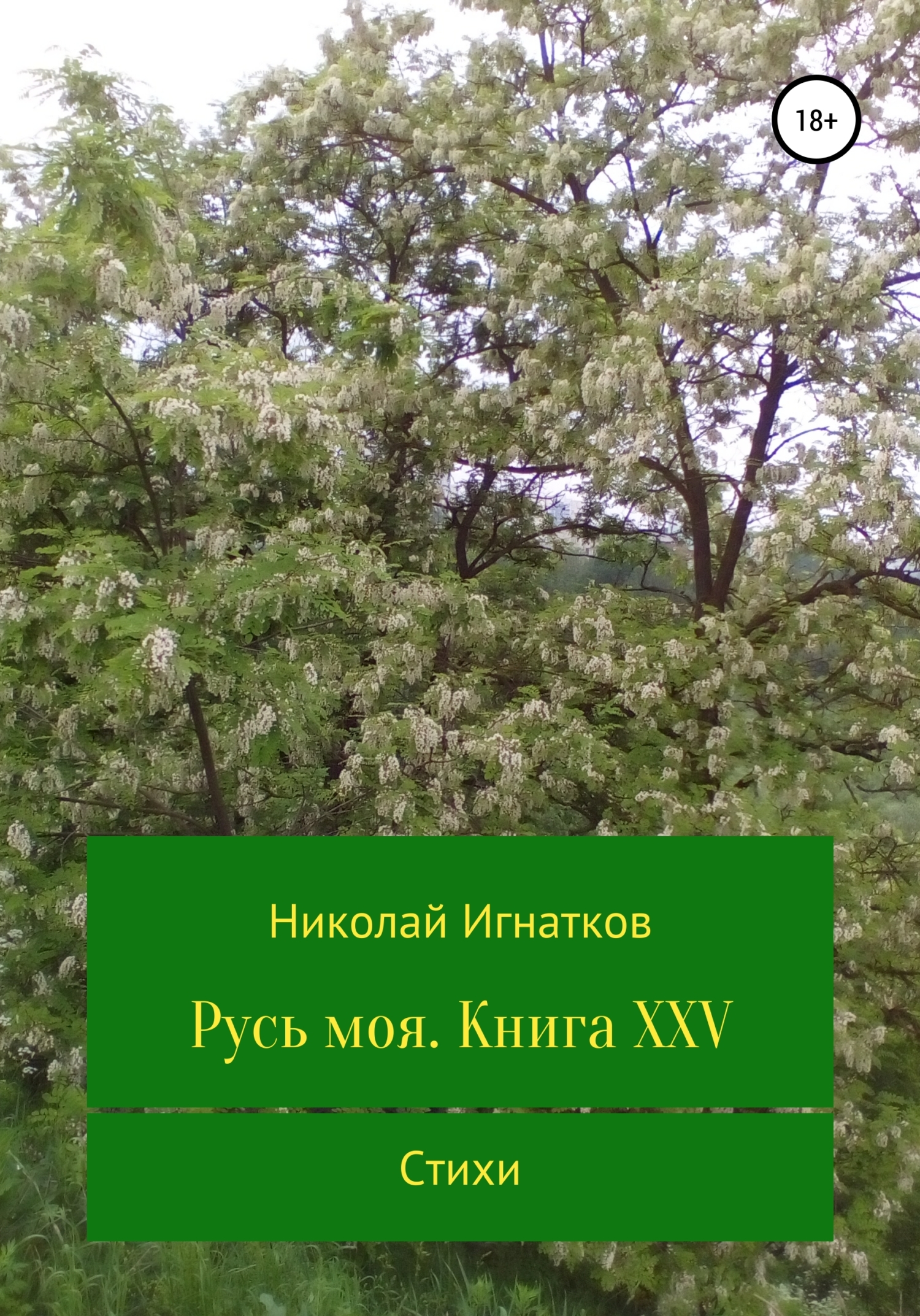 Обложка книги «Русь моя. Книга XXV»