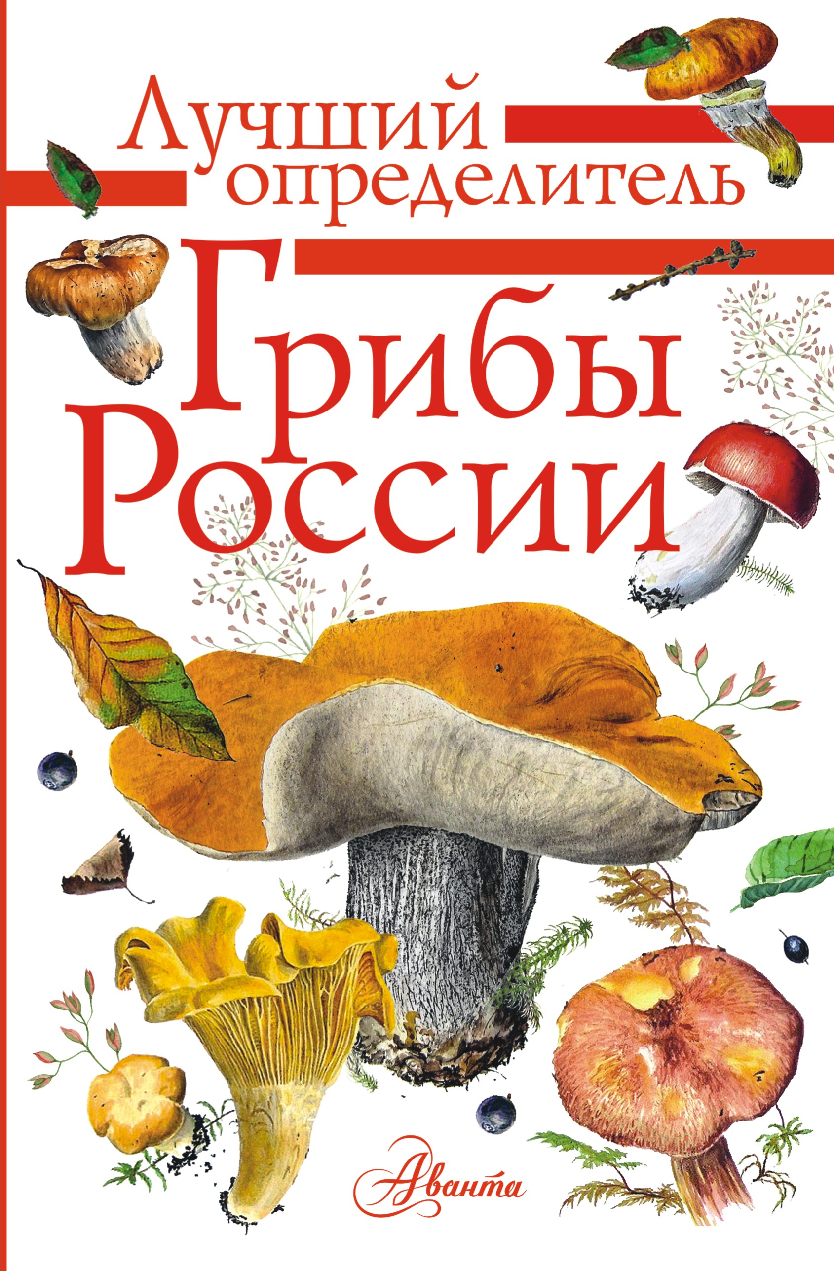 Обложка книги «Грибы России. Определитель»