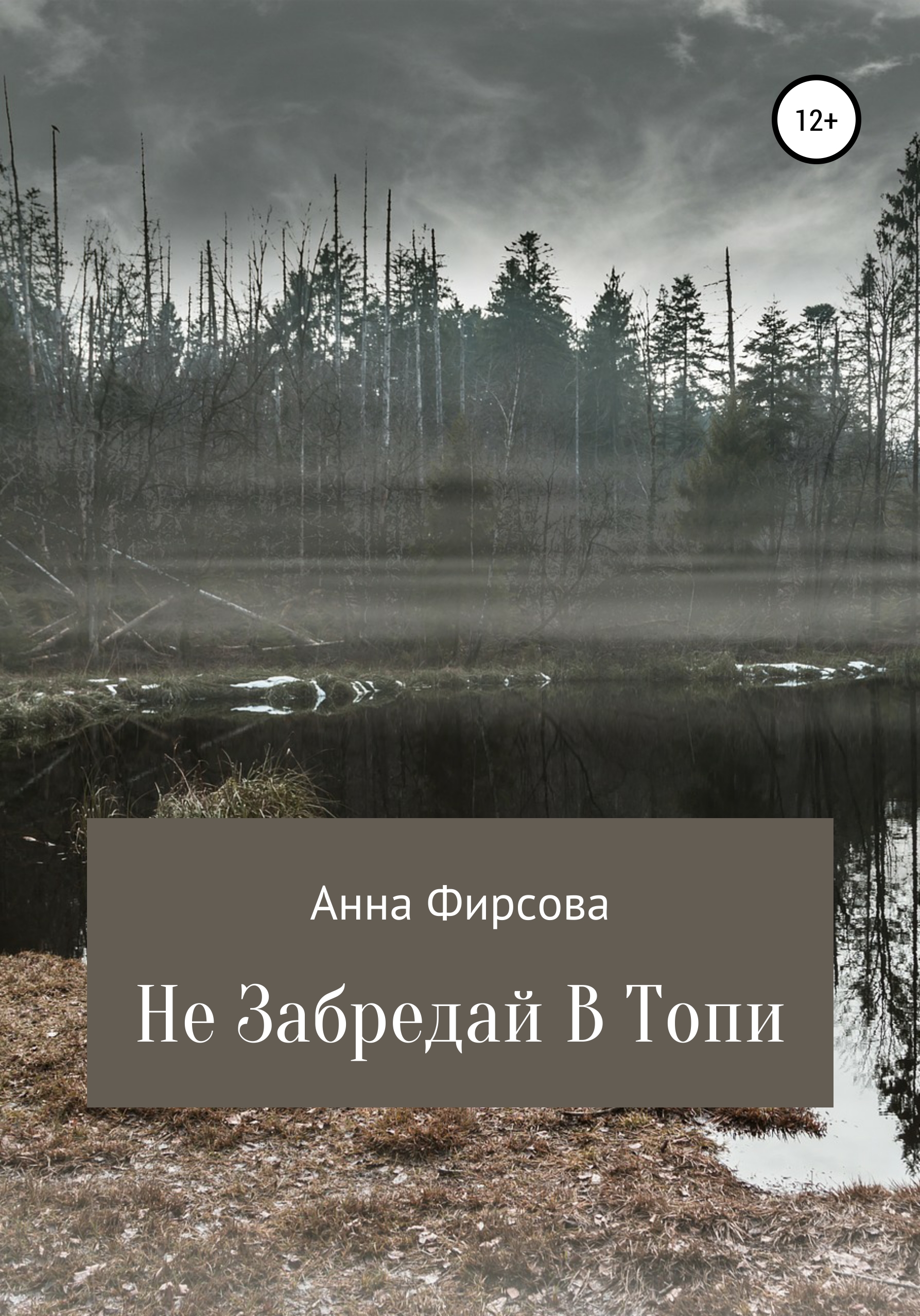 Обложка книги «Не забредай в Топи»