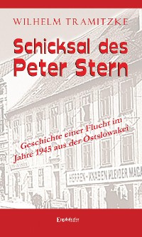 Обложка книги «Schicksal des Peter Stern»