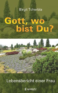 Обложка книги «Gott, wo bist Du?»