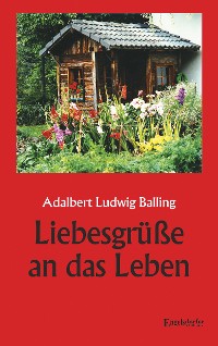 Обложка книги «Liebesgrüße an das Leben»
