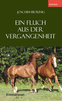Обложка книги «Ein Fluch aus der Vergangenheit»