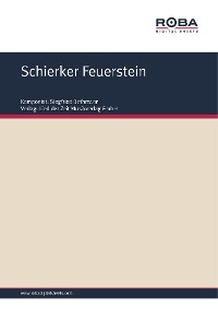 Обложка книги «Schierker Feuerstein»