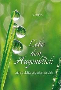Обложка книги «Lebe den Augenblick»