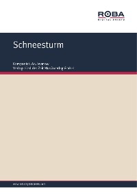 Обложка книги «Schneesturm»