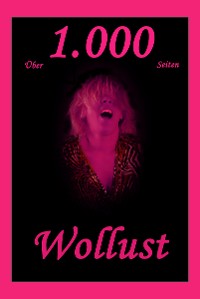 Обложка книги «Über 1.000 Seiten Wollust»