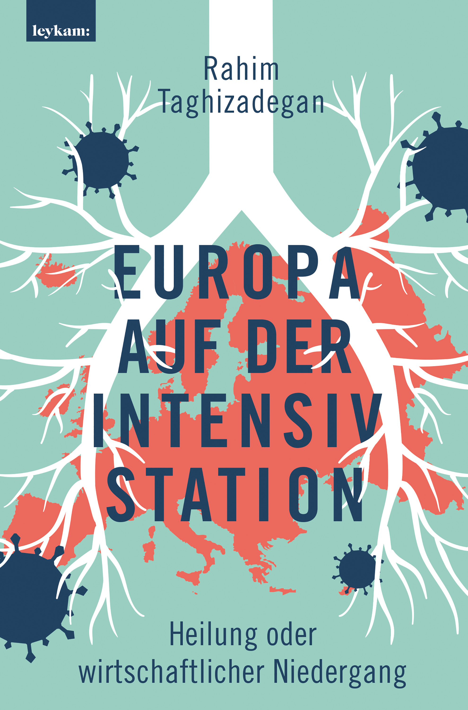 Обложка книги «Europa auf der Intensivstation»