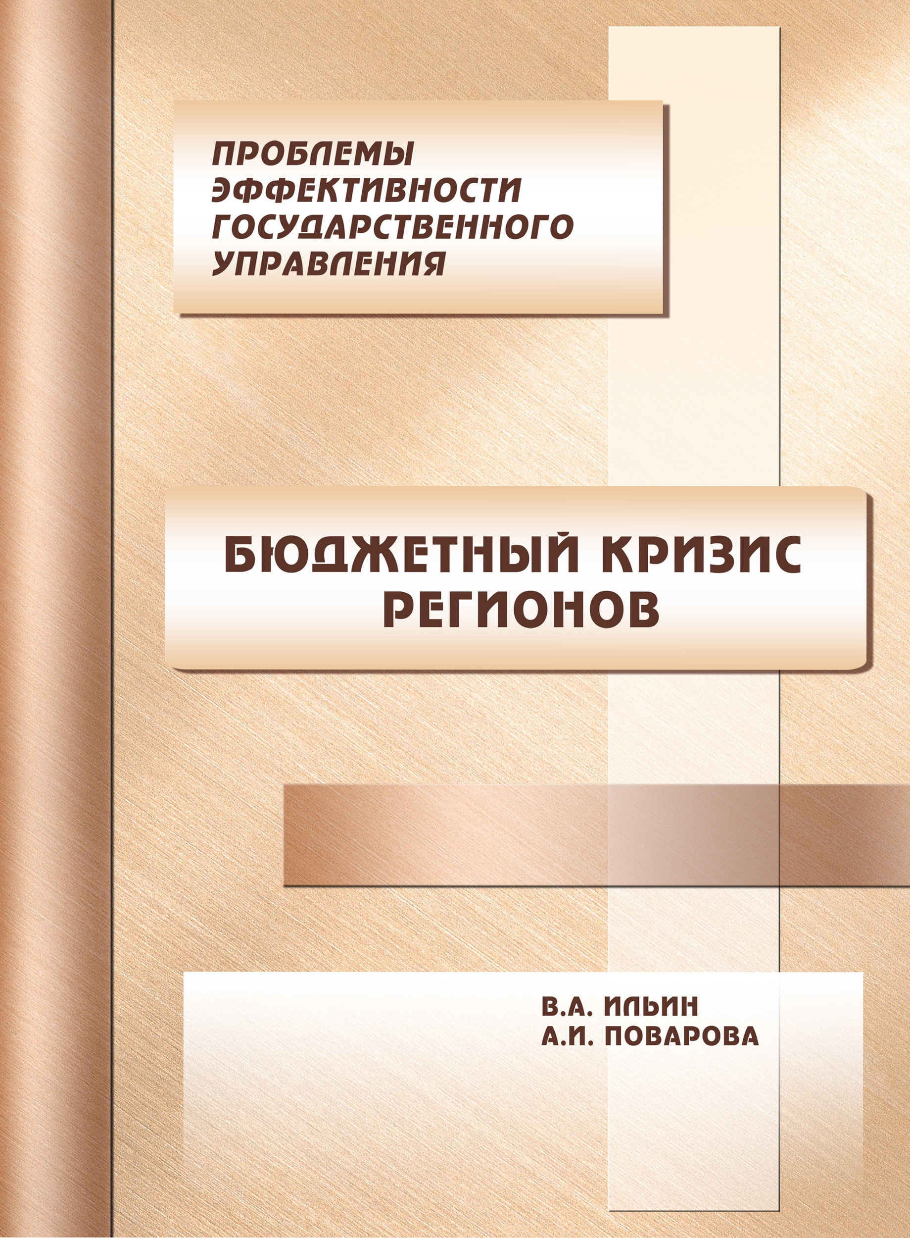 Обложка книги «Проблемы эффективности государственного управления. Бюджетный кризис регионов»