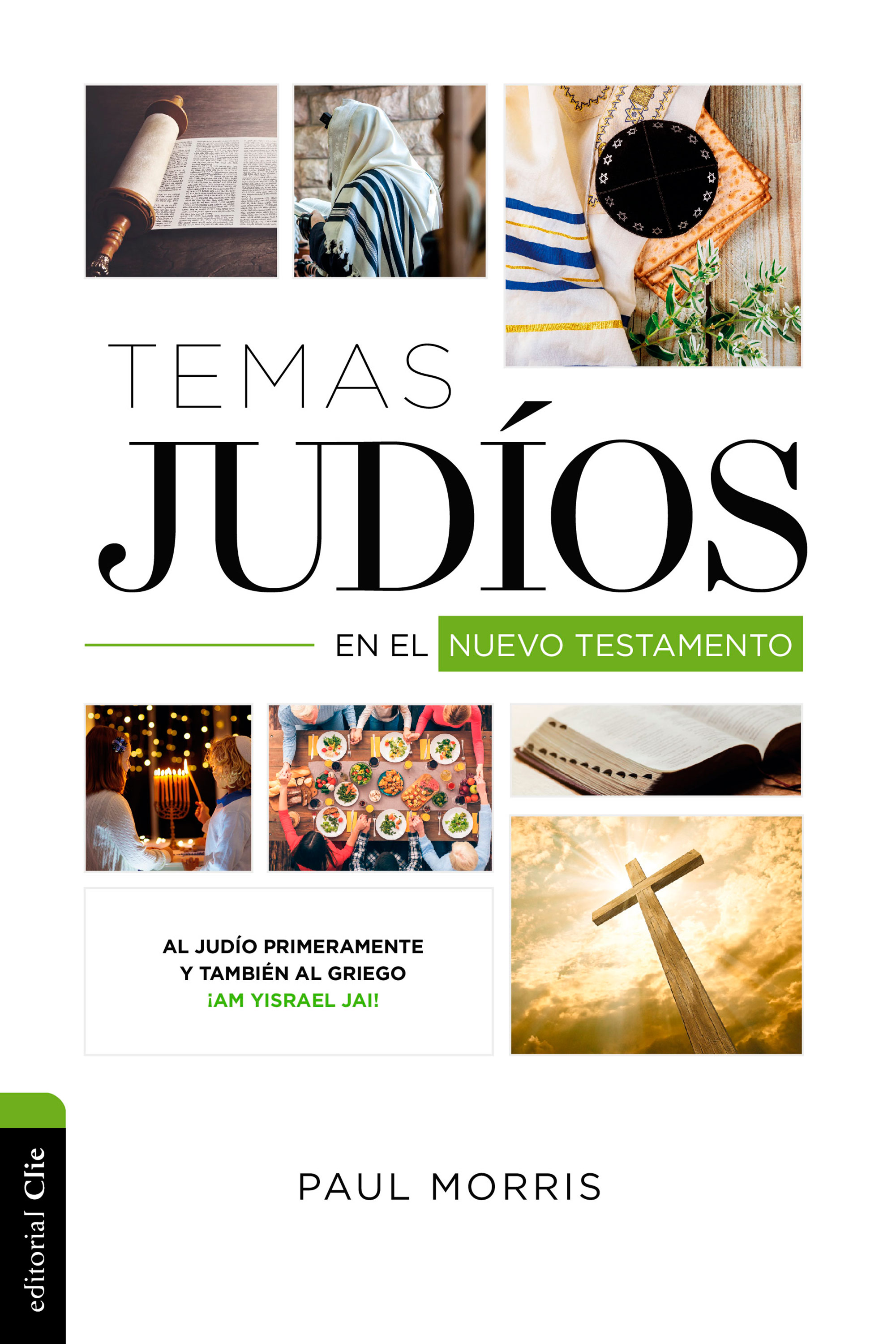 Обложка книги «Temas judíos en el Nuevo Testamento»