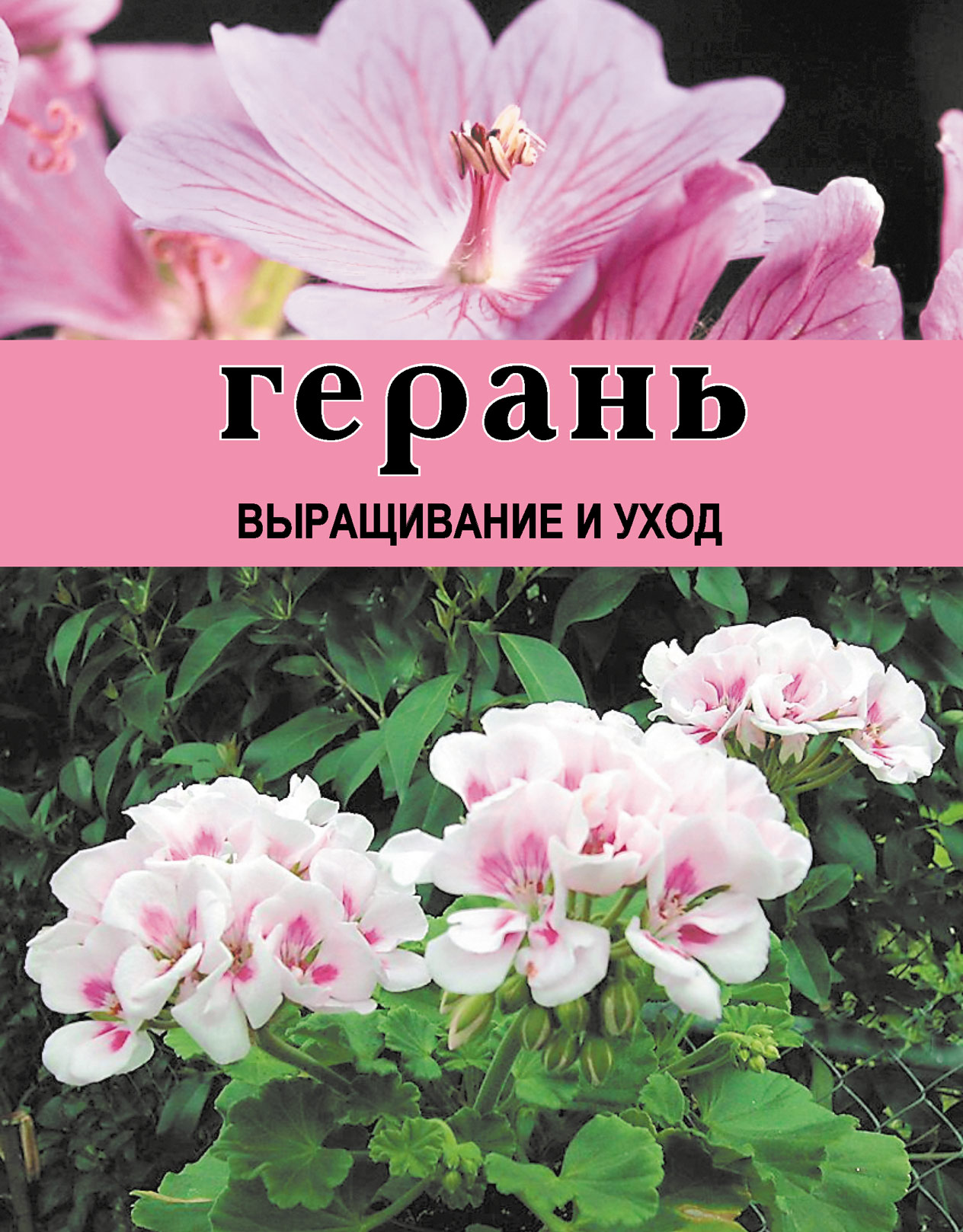 Обложка книги «Герань. Выращивание и уход»