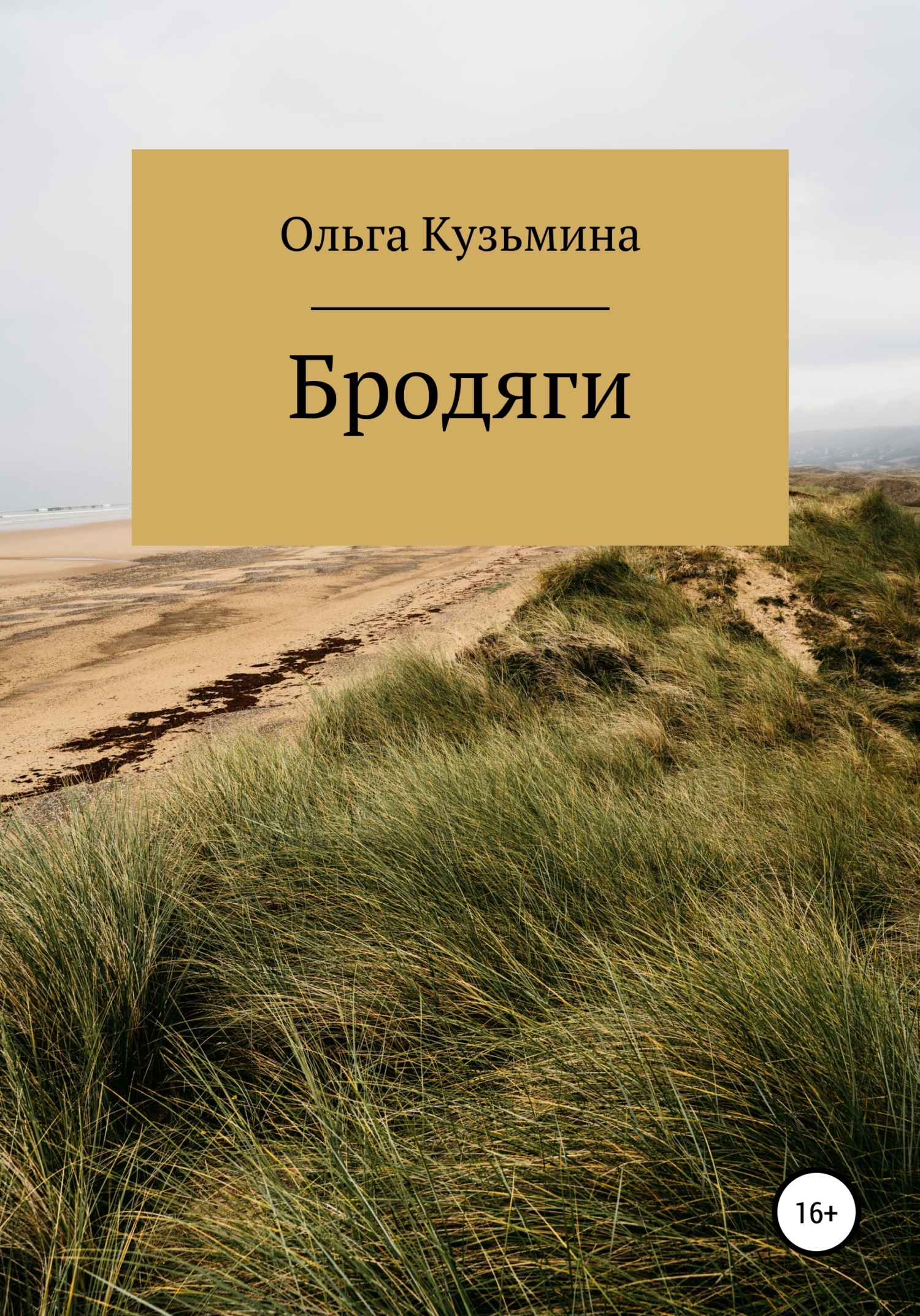 Обложка книги «Бродяги»
