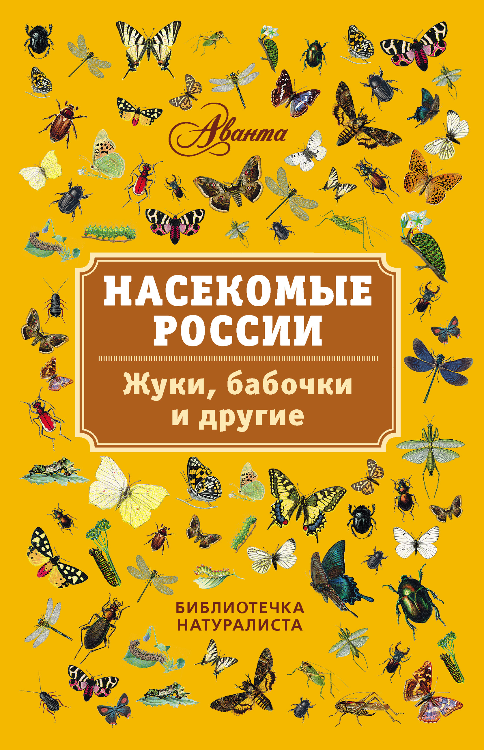 Обложка книги «Насекомые России. Жуки, бабочки и другие»