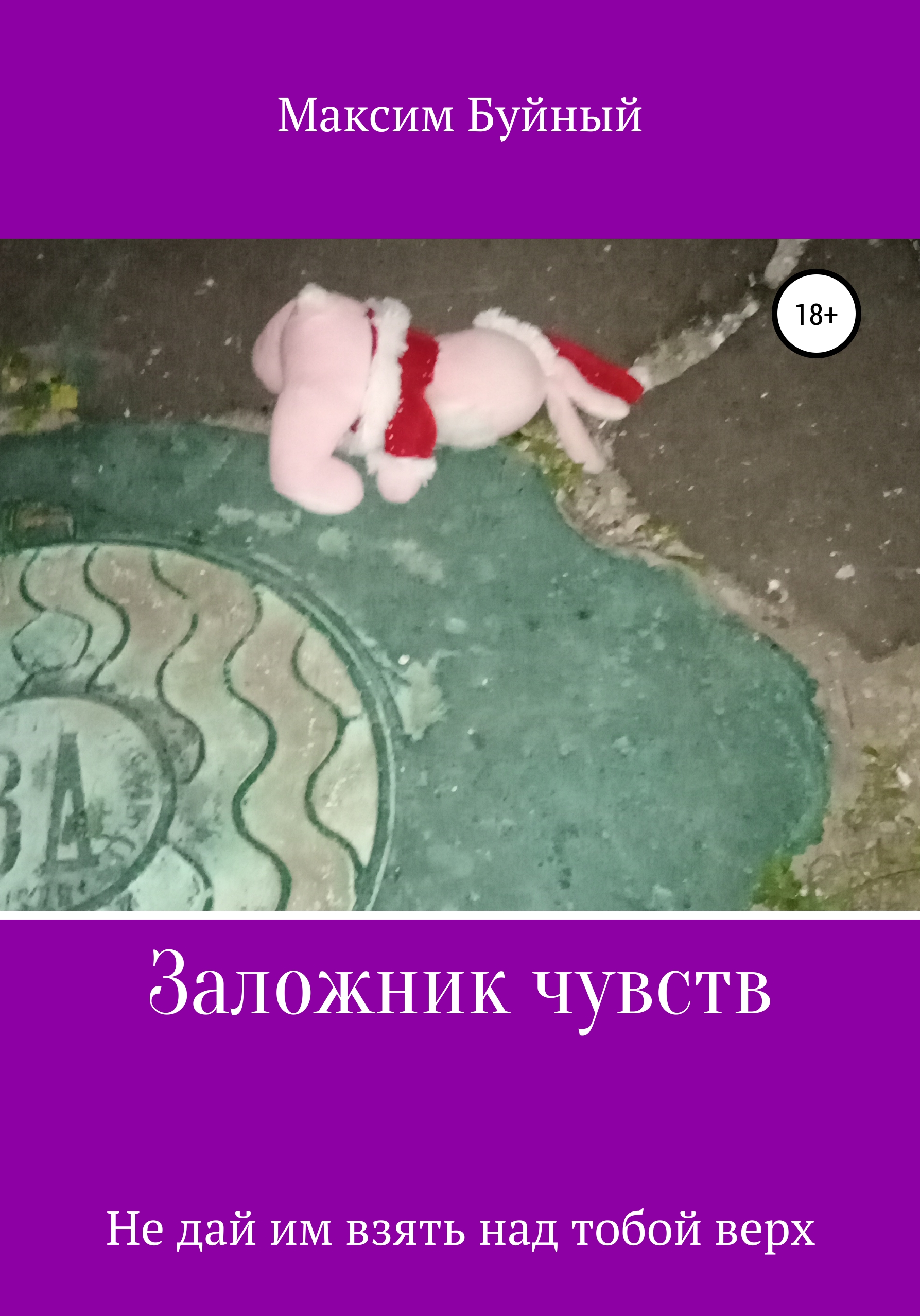 Обложка книги «Заложник чувств»