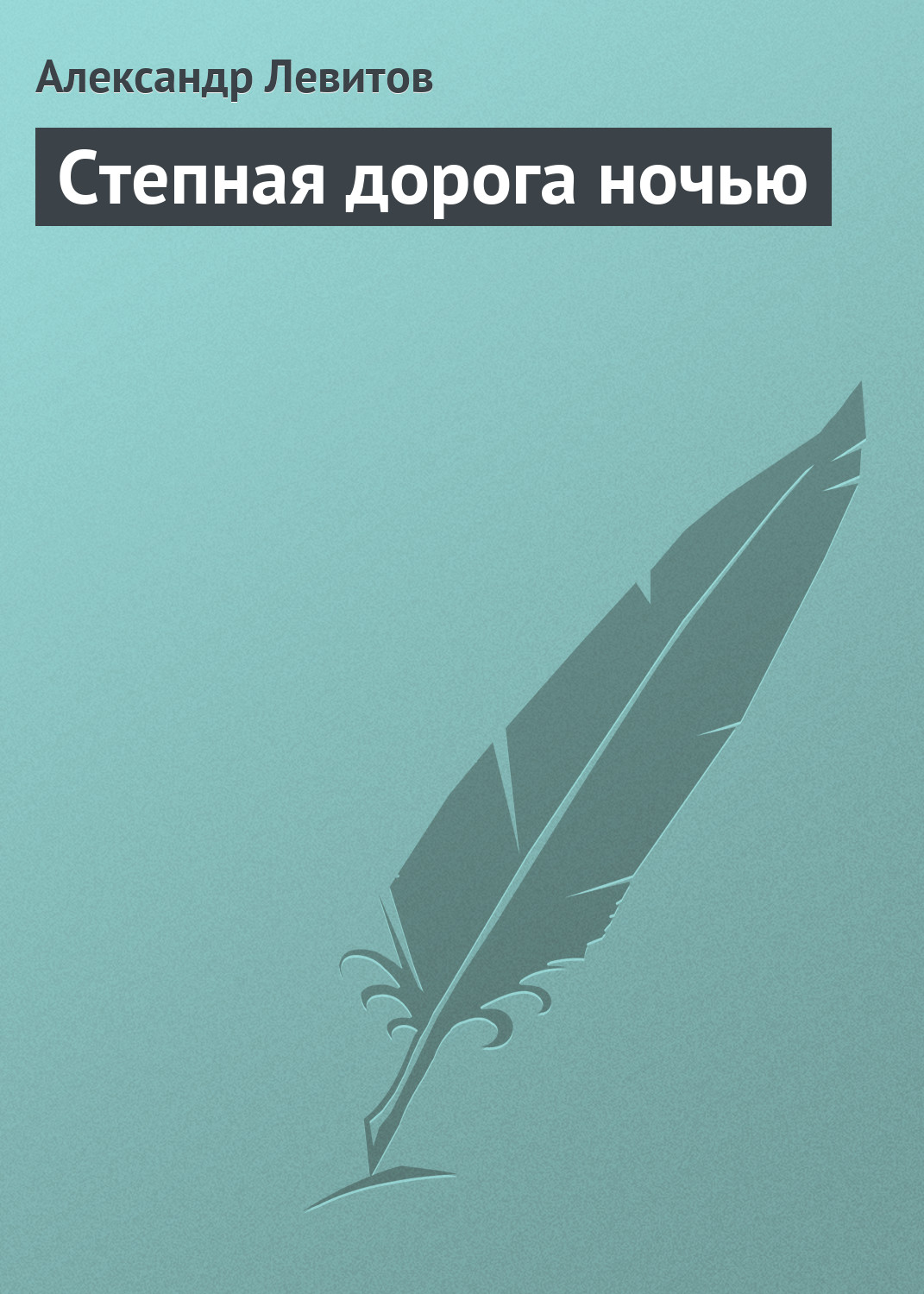 Обложка книги «Степная дорога ночью»