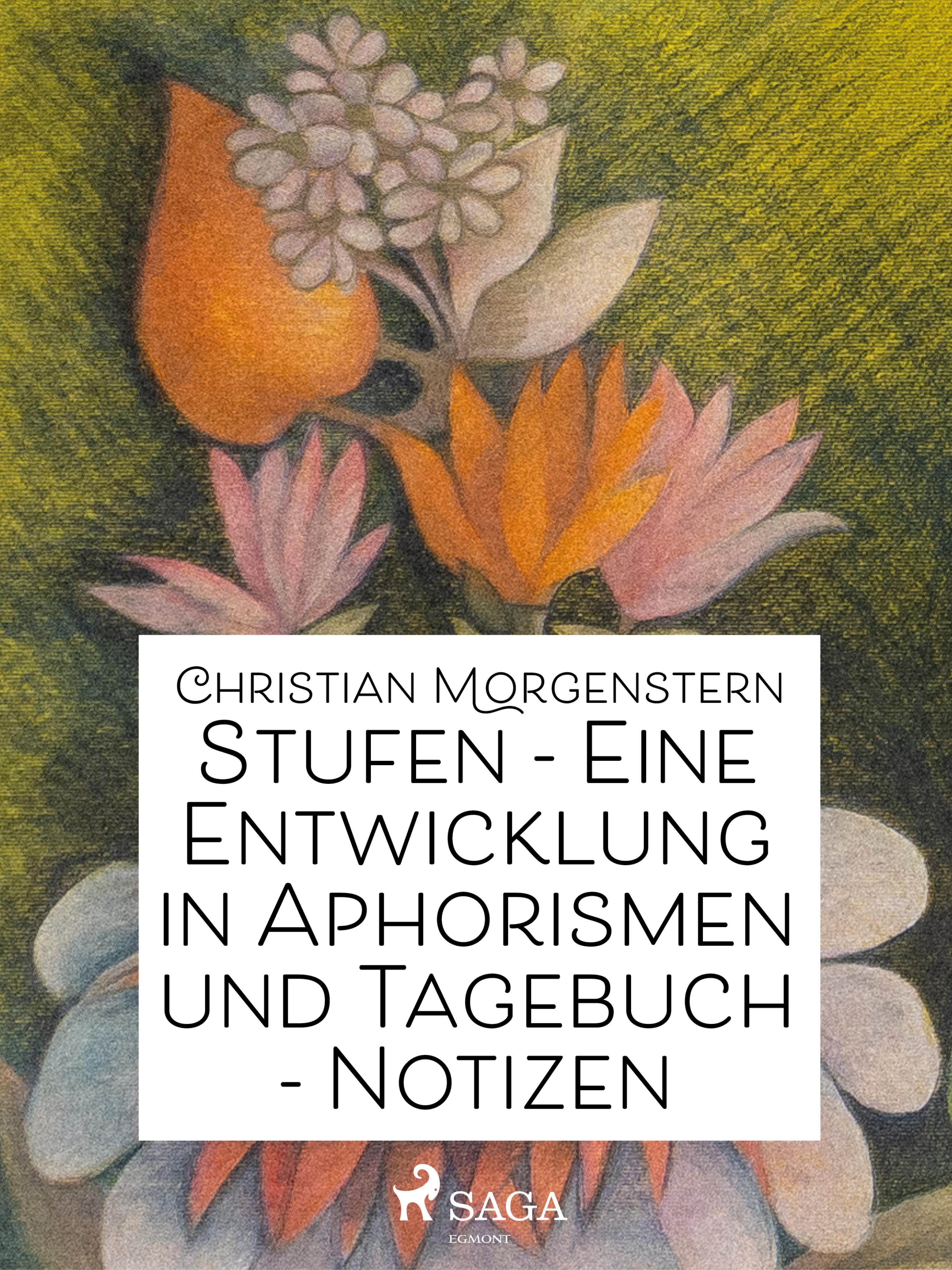 Обложка книги «Stufen - Eine Entwicklung in Aphorismen und Tagebuch-Notizen»