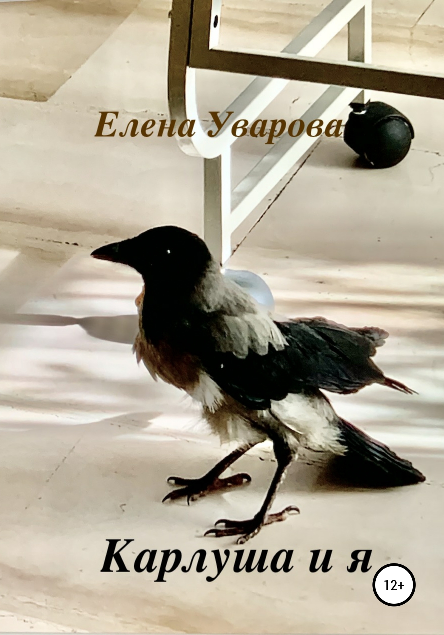 Обложка книги «Карлуша и я»