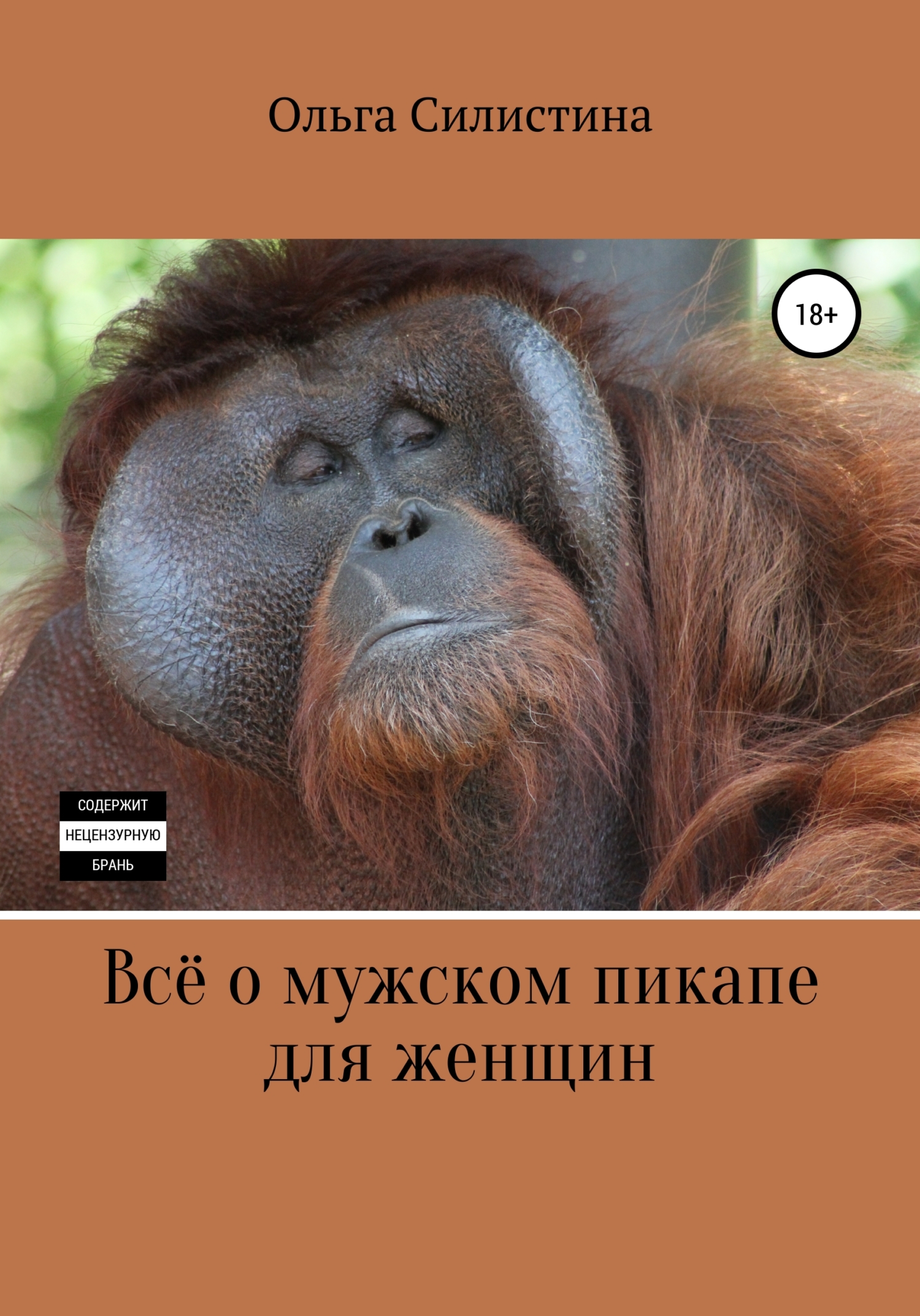 Обложка книги «Всё о мужском пикапе для женщин»
