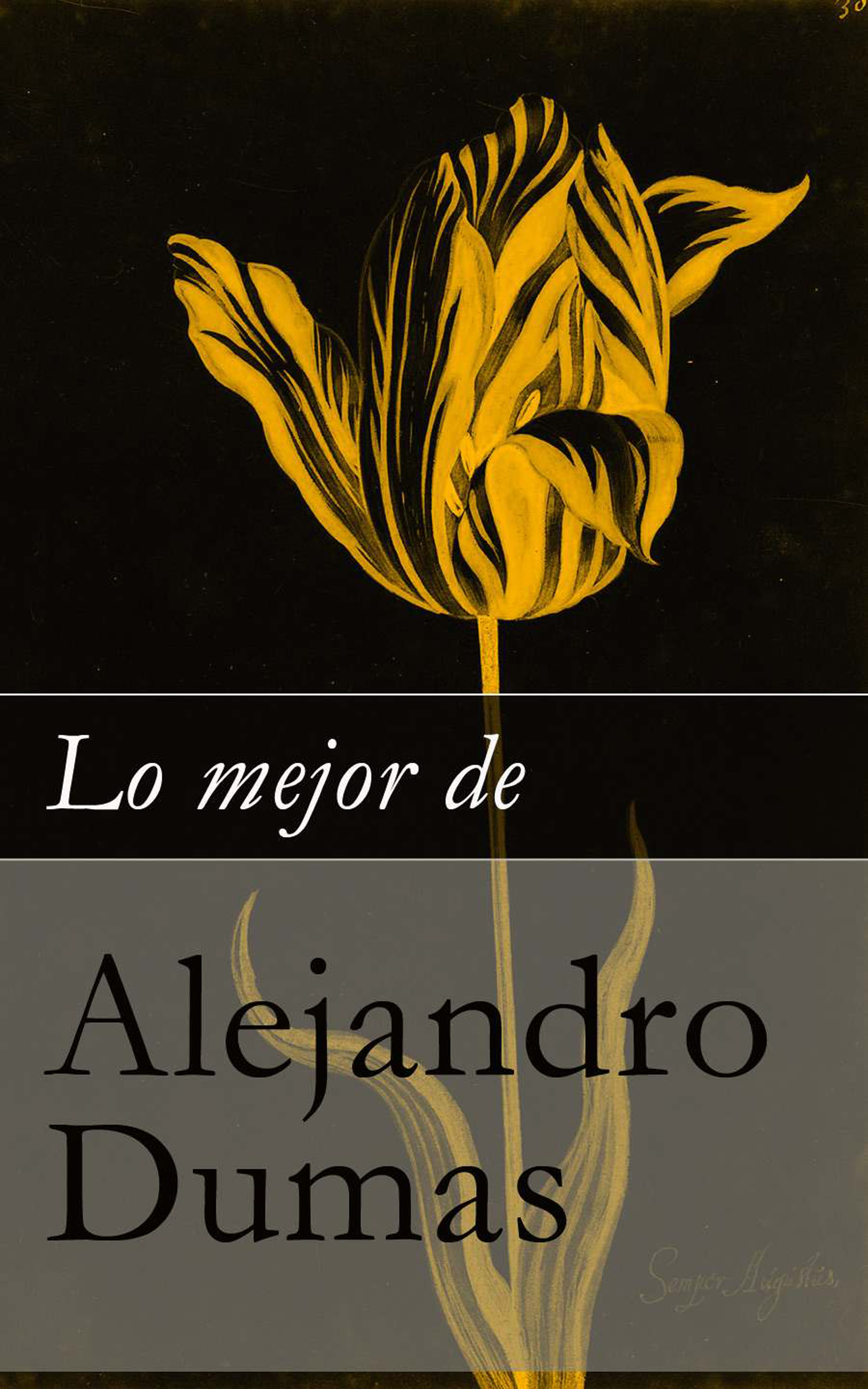 Обложка книги «Lo mejor de Alejandro Dumas»