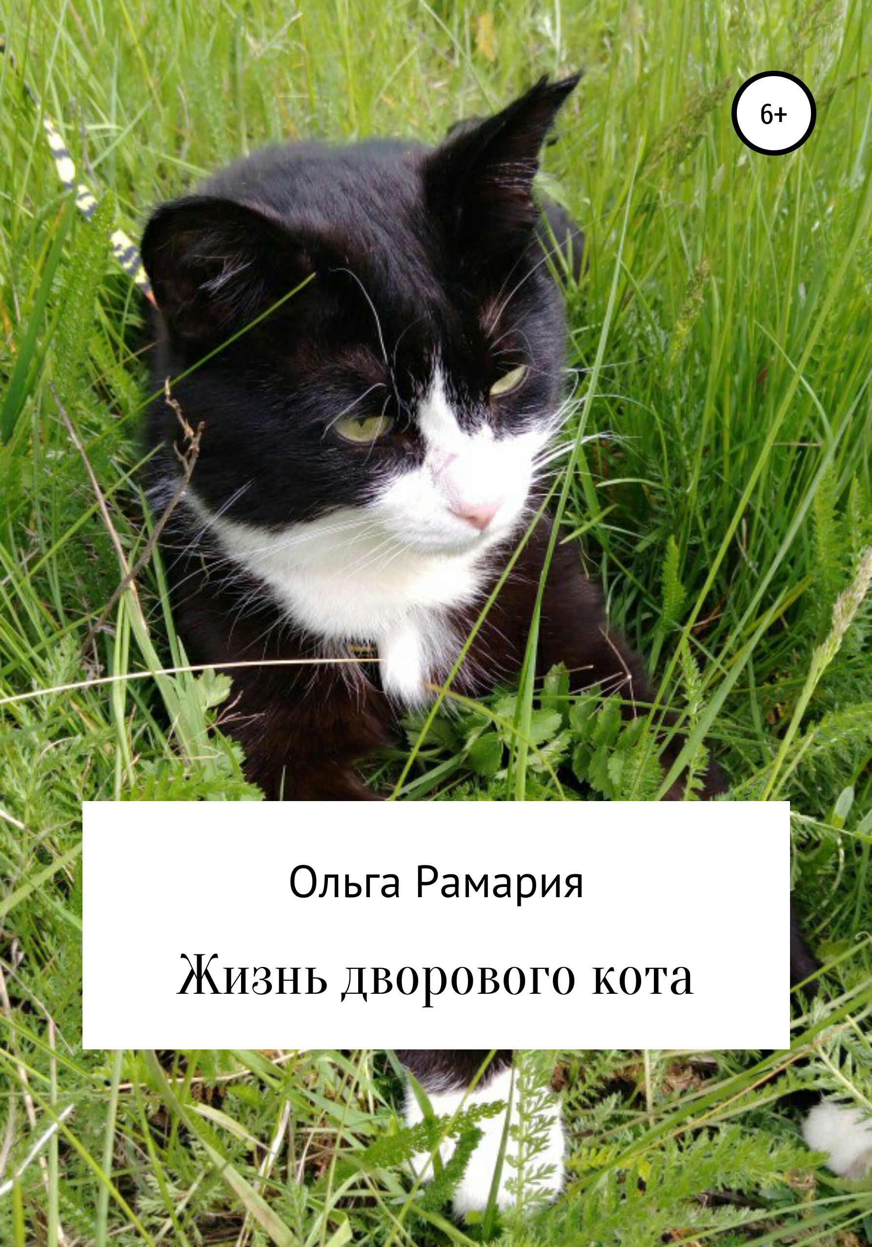Обложка книги «Жизнь дворового кота»